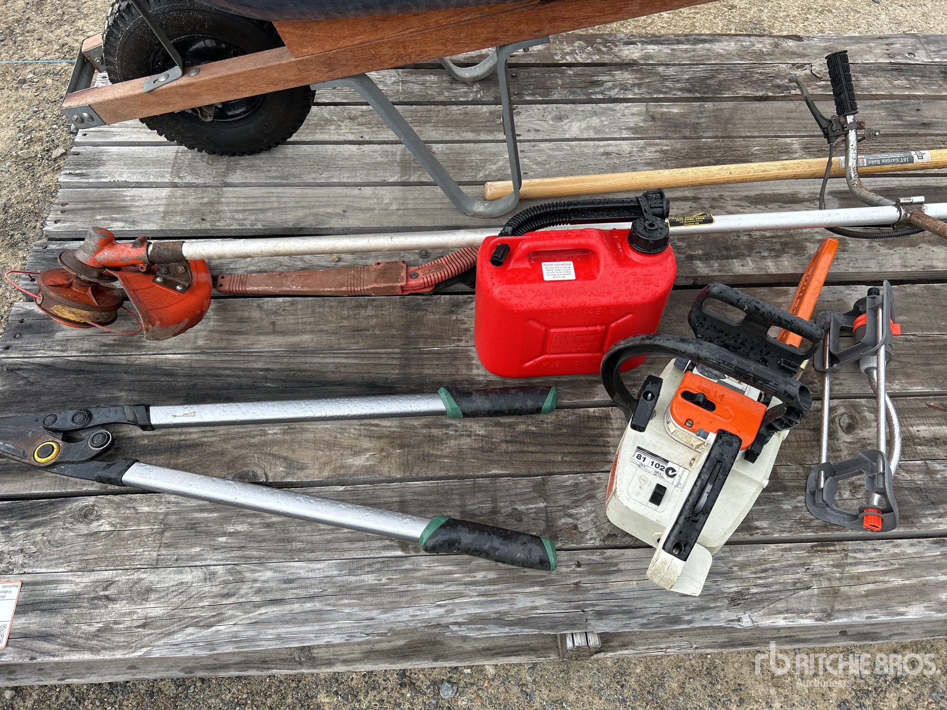 General Appearance with 