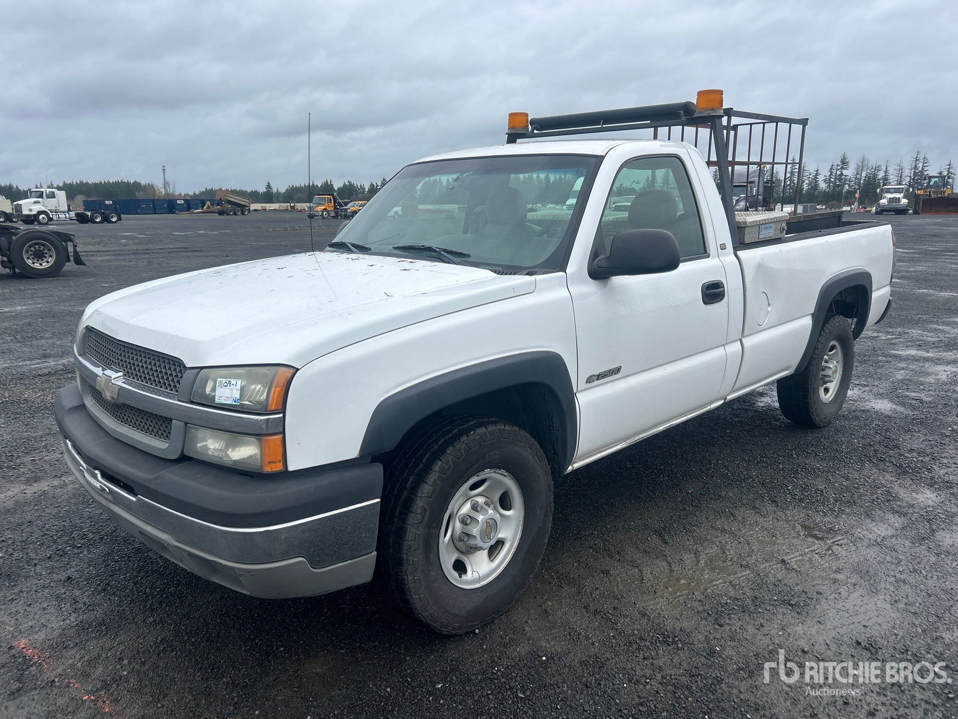 General Appearance with Spin