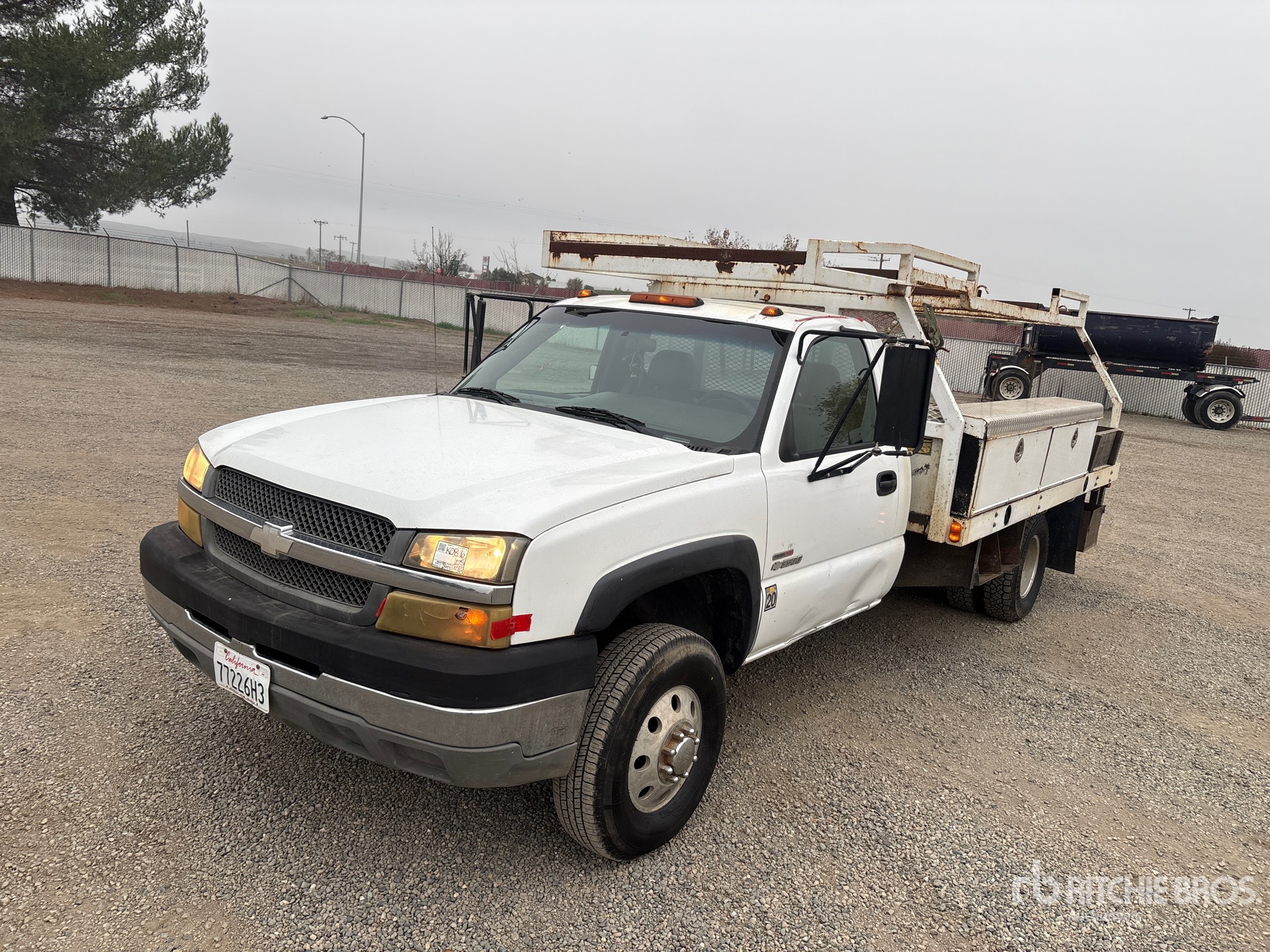 General Appearance with Spin