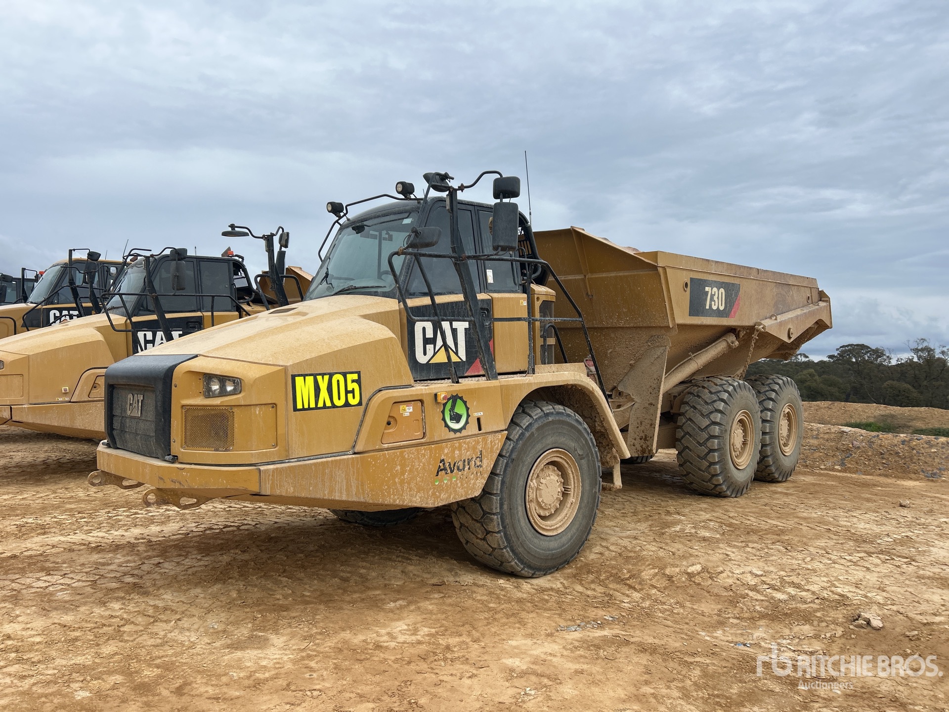 General Appearance with 