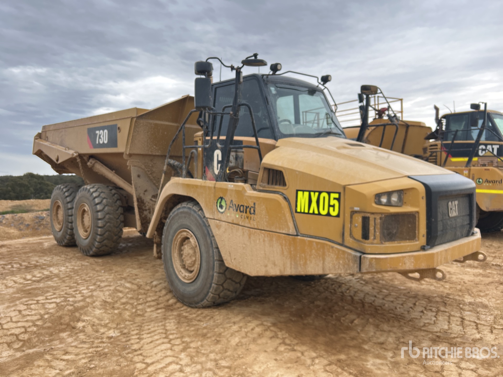 General Appearance with 