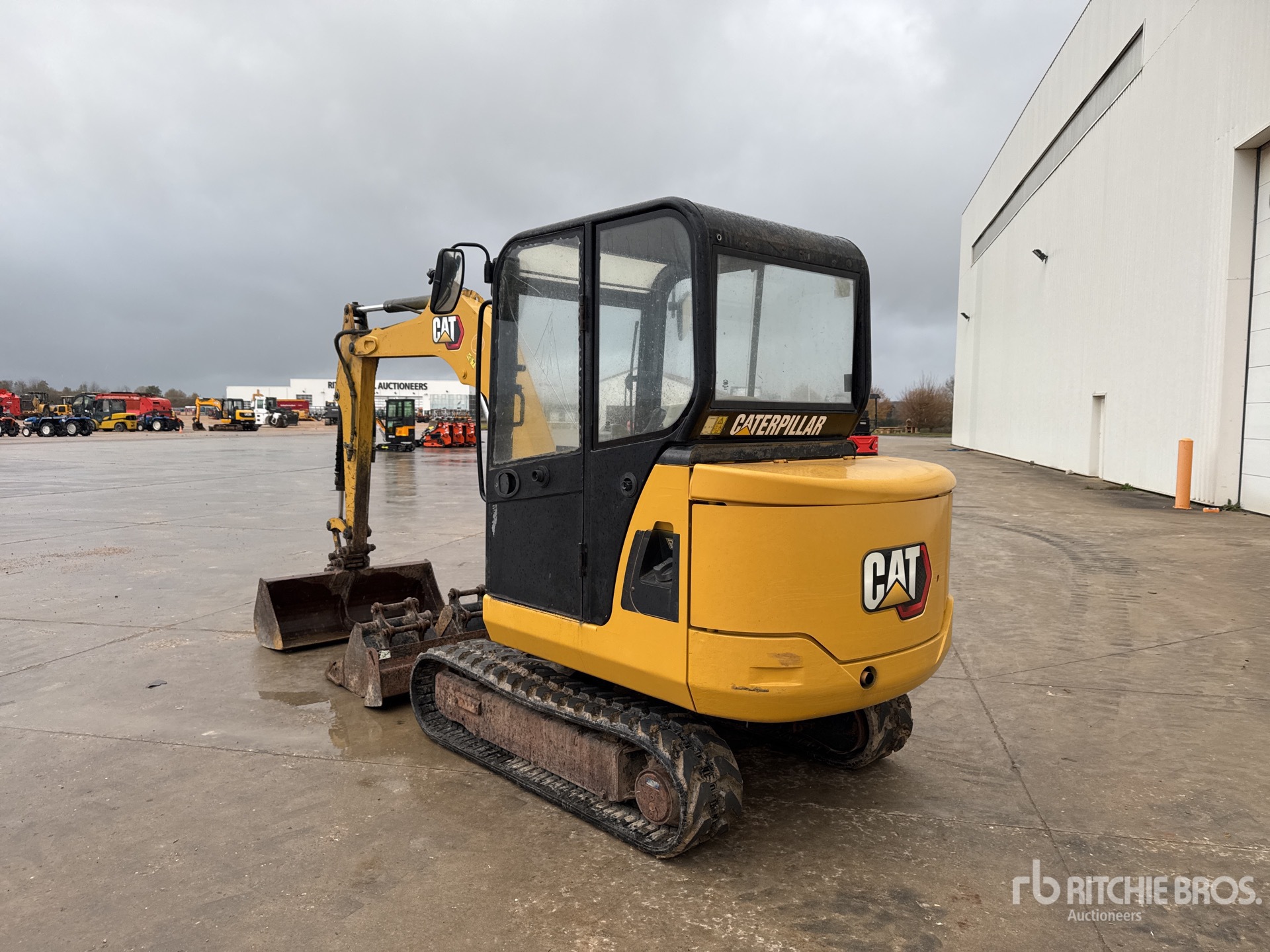 General Appearance with 