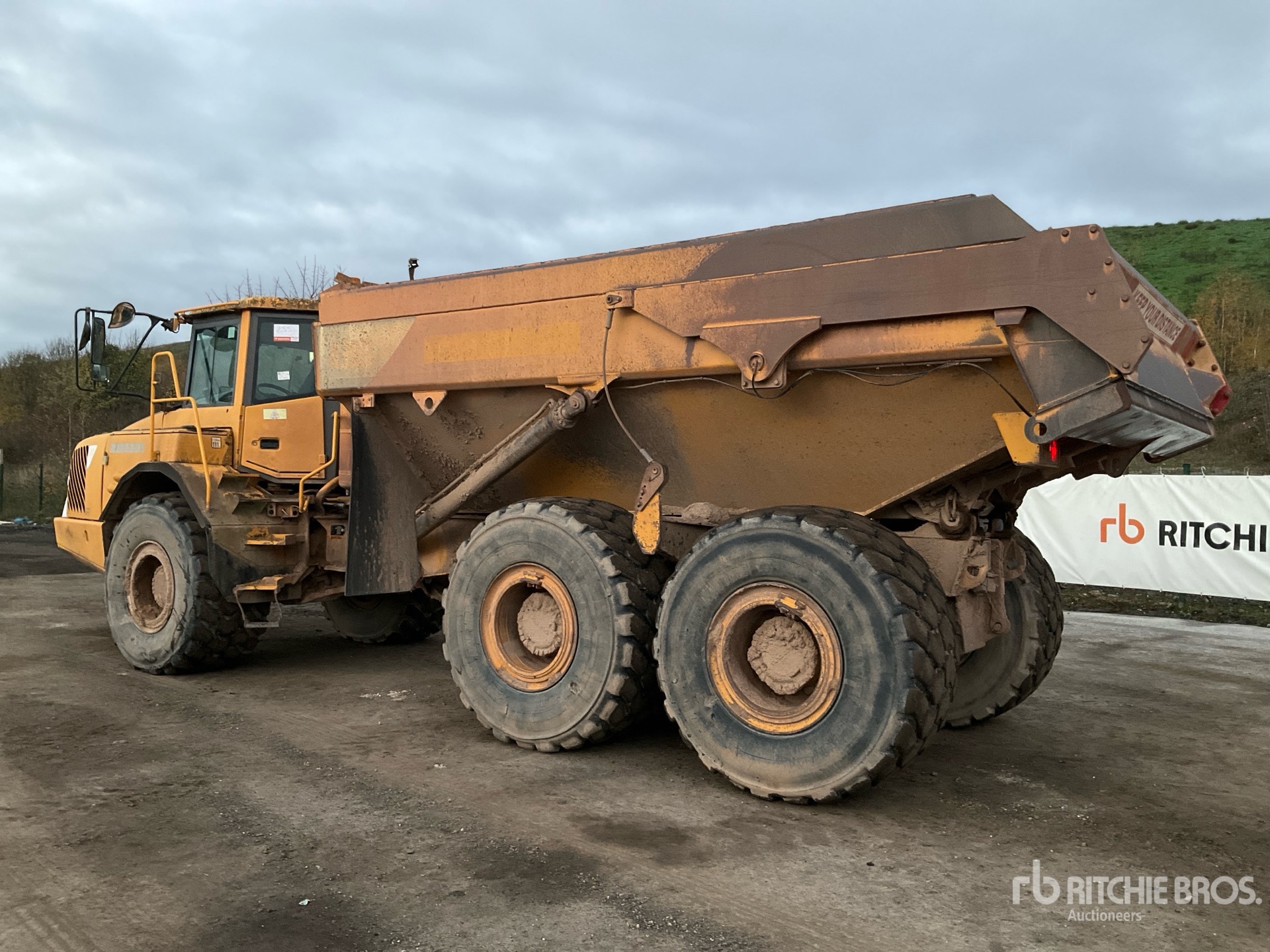 General Appearance with Zdjęcie, lewy dolny róg