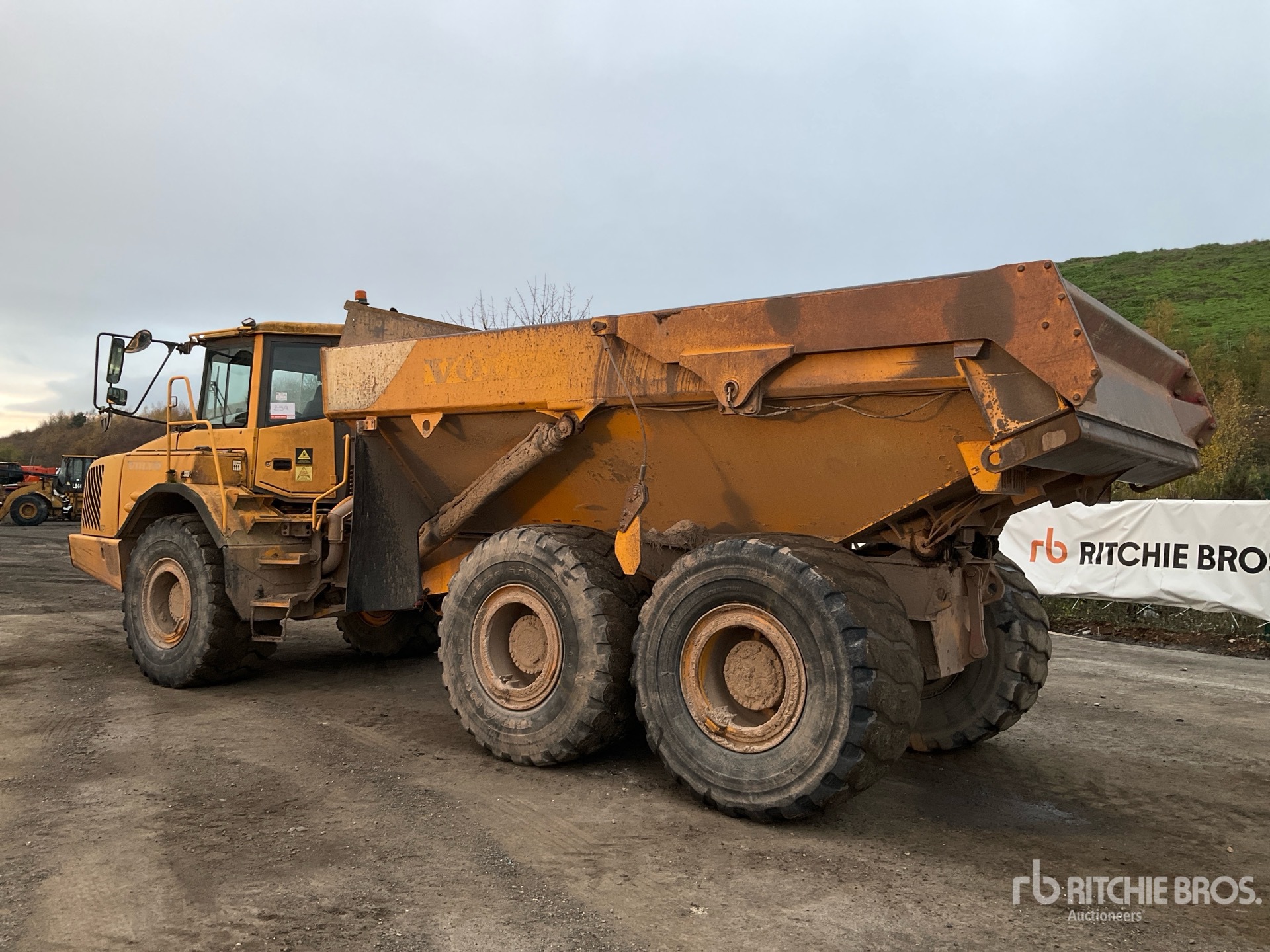 General Appearance with Zdjęcie, lewy dolny róg