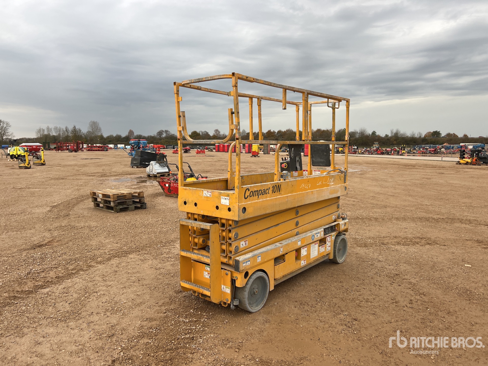 General Appearance with 