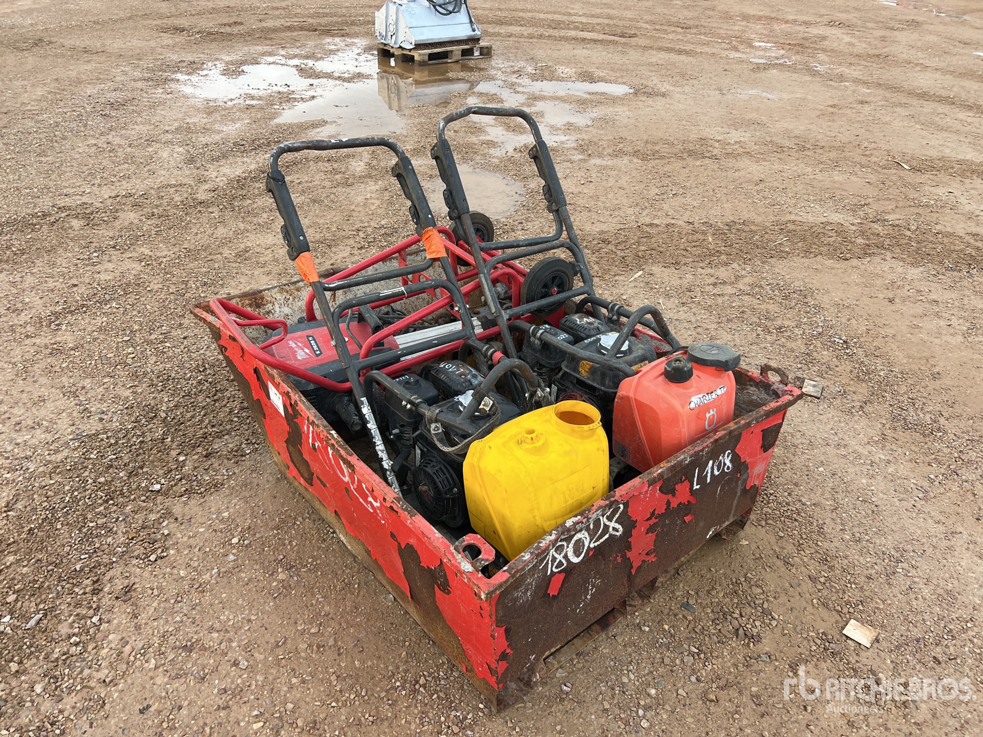 General Appearance with 