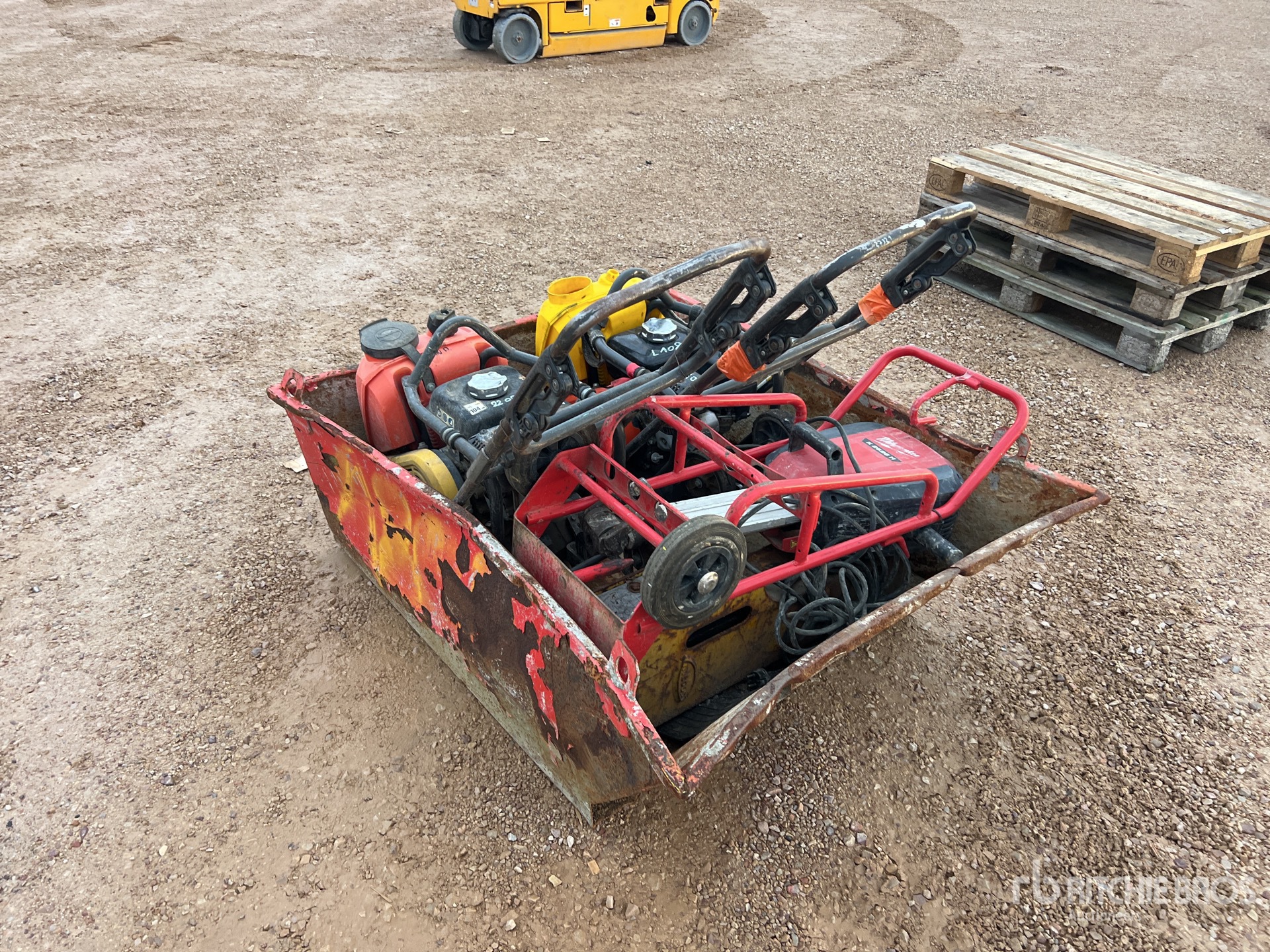 General Appearance with 