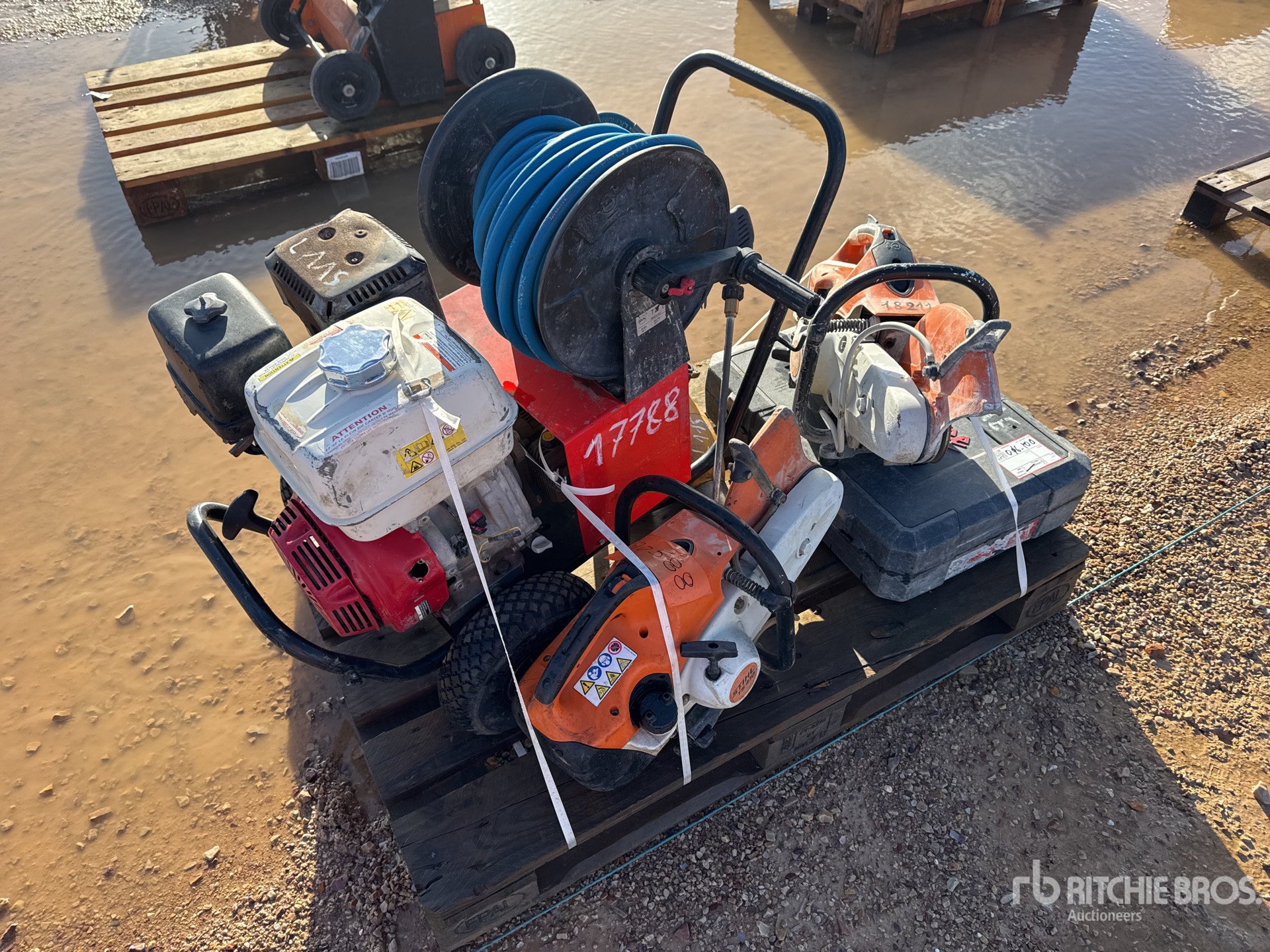 General Appearance with