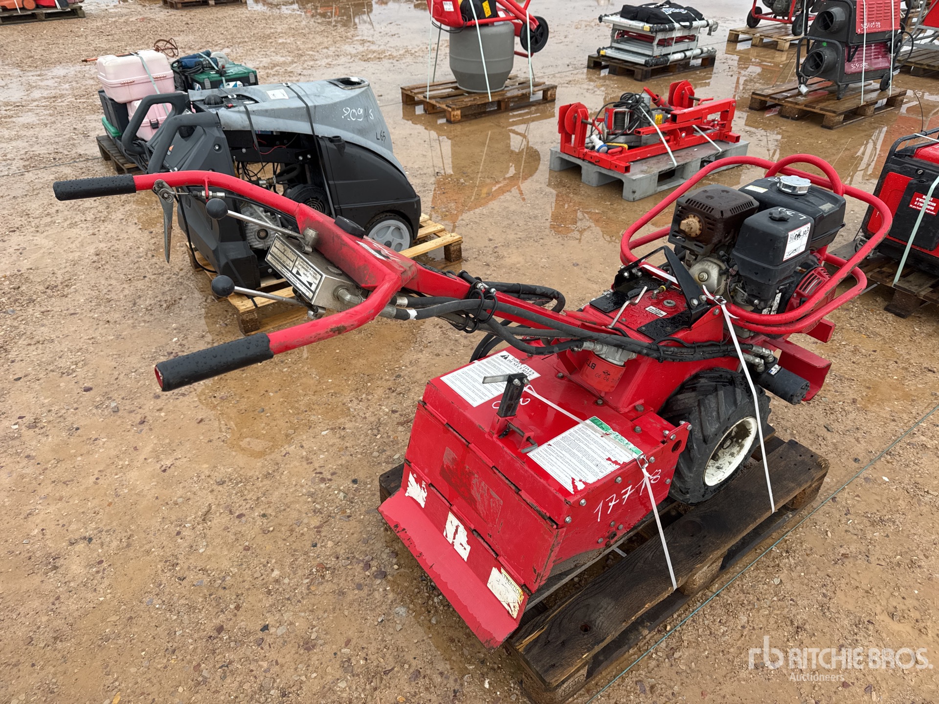 General Appearance with 