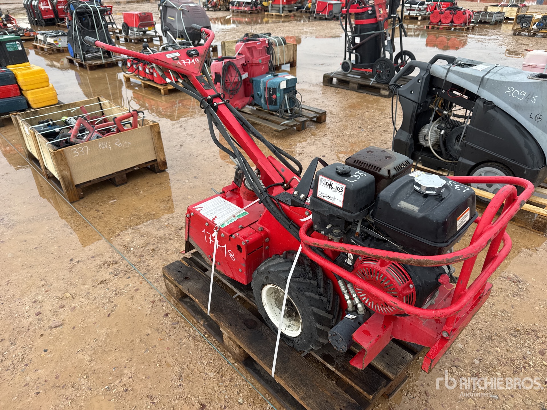 General Appearance with 