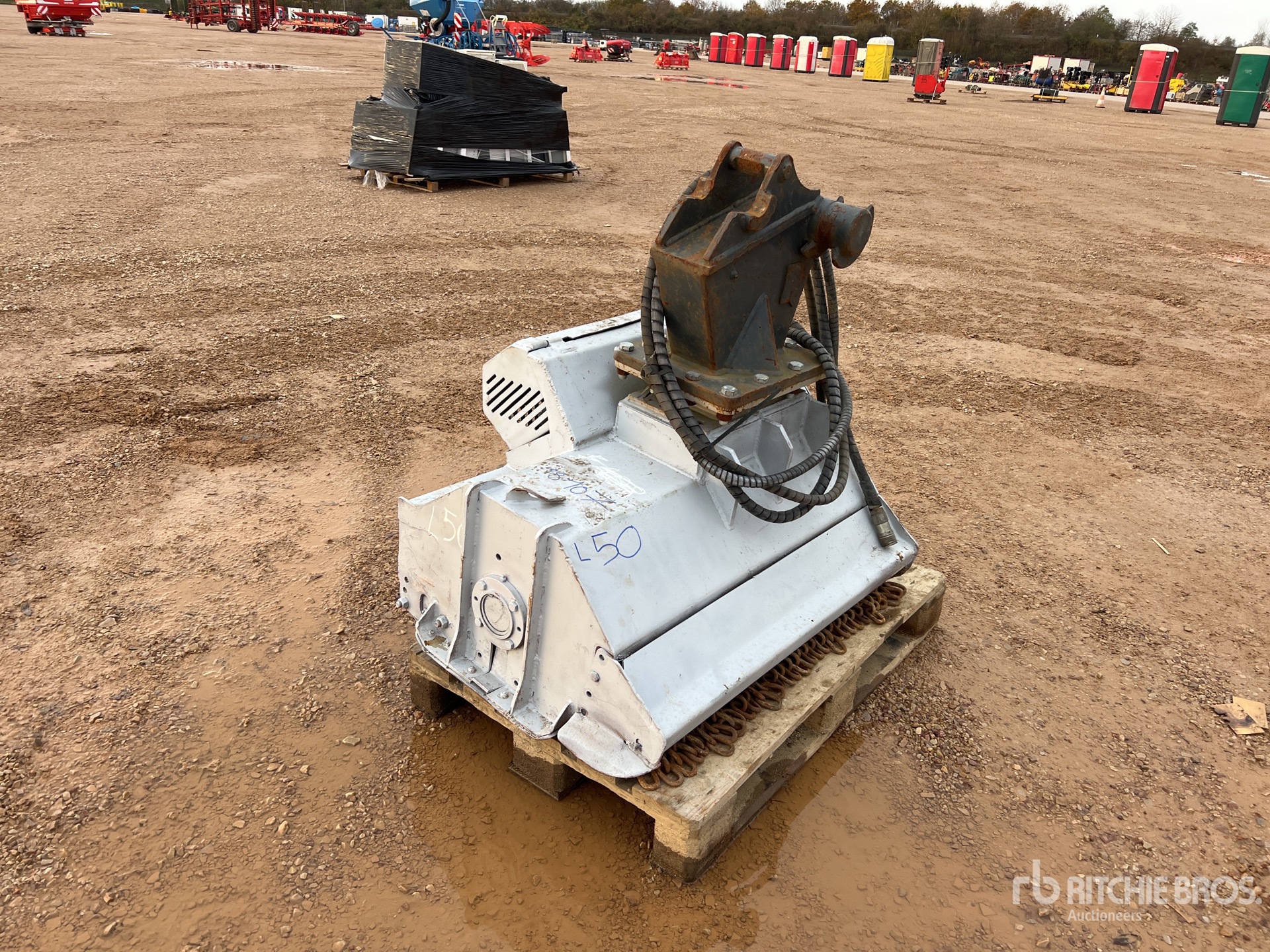 General Appearance with 