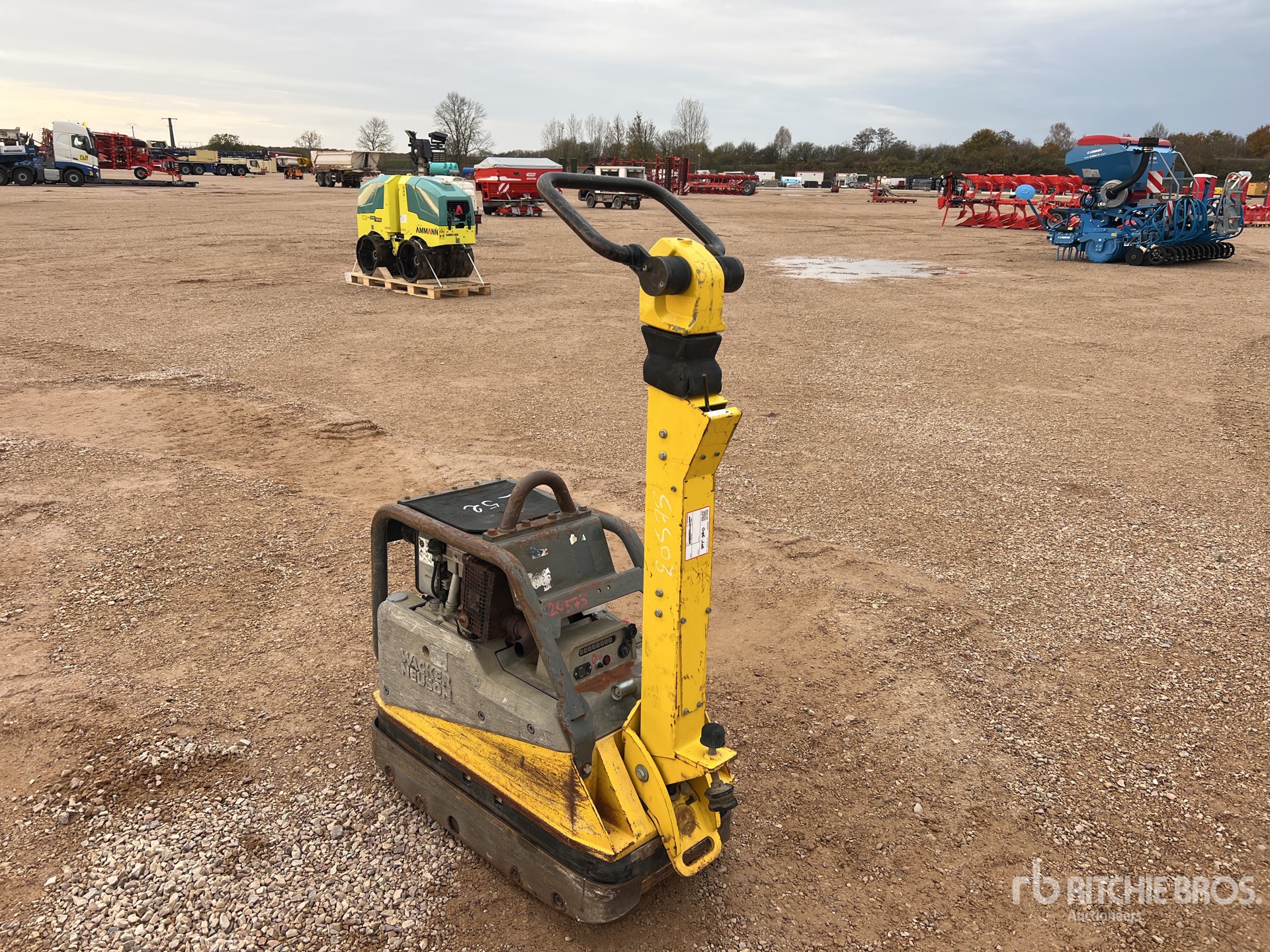 General Appearance with 