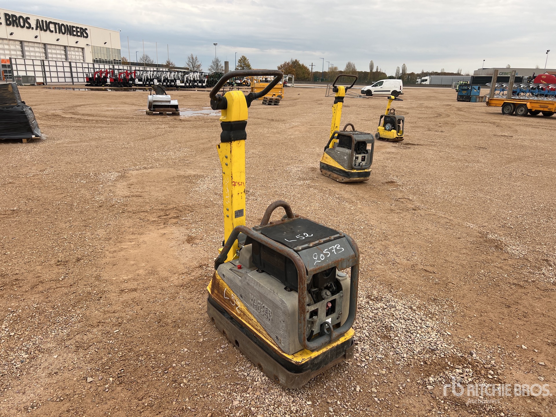 General Appearance with 