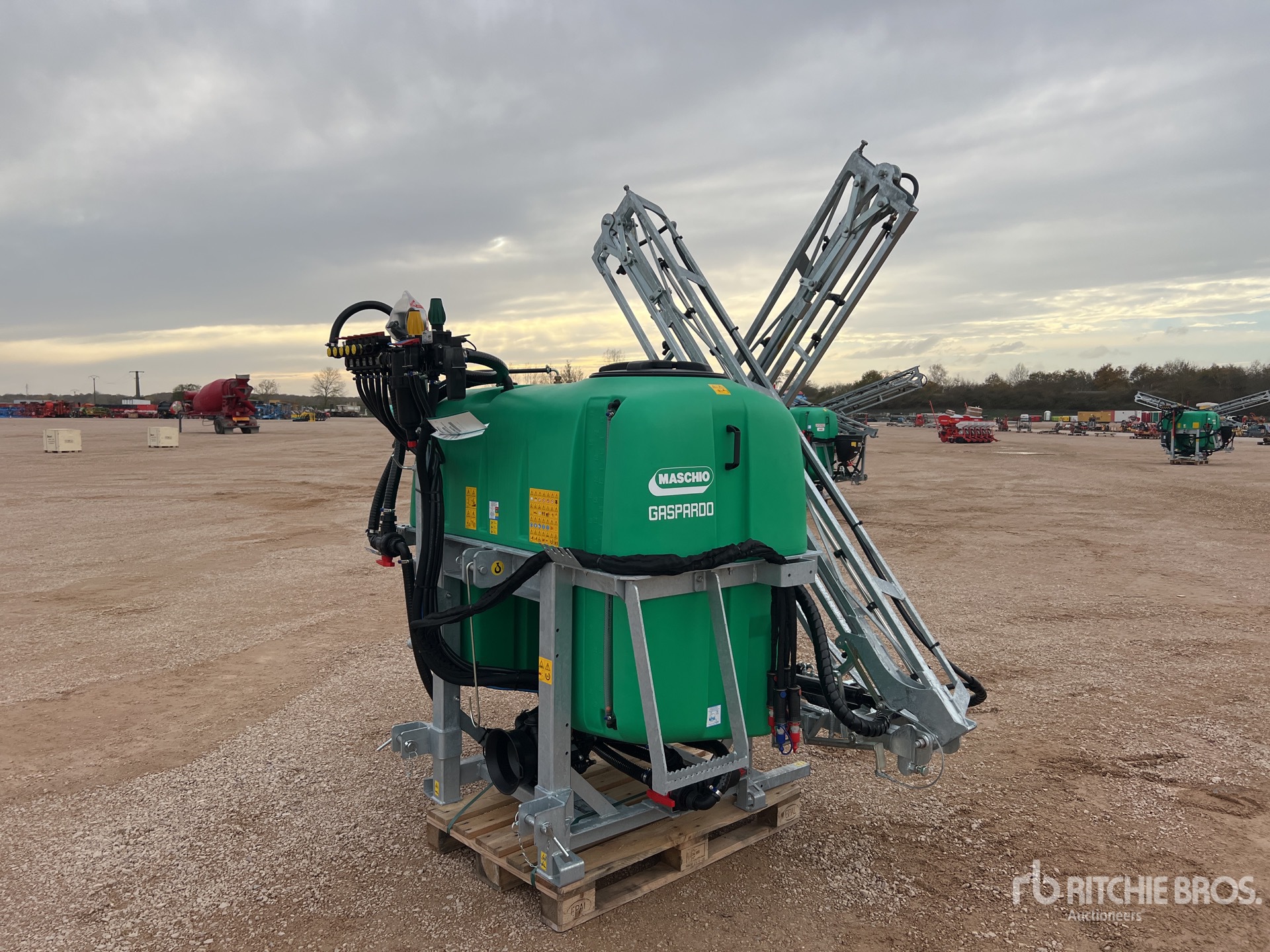 General Appearance with 