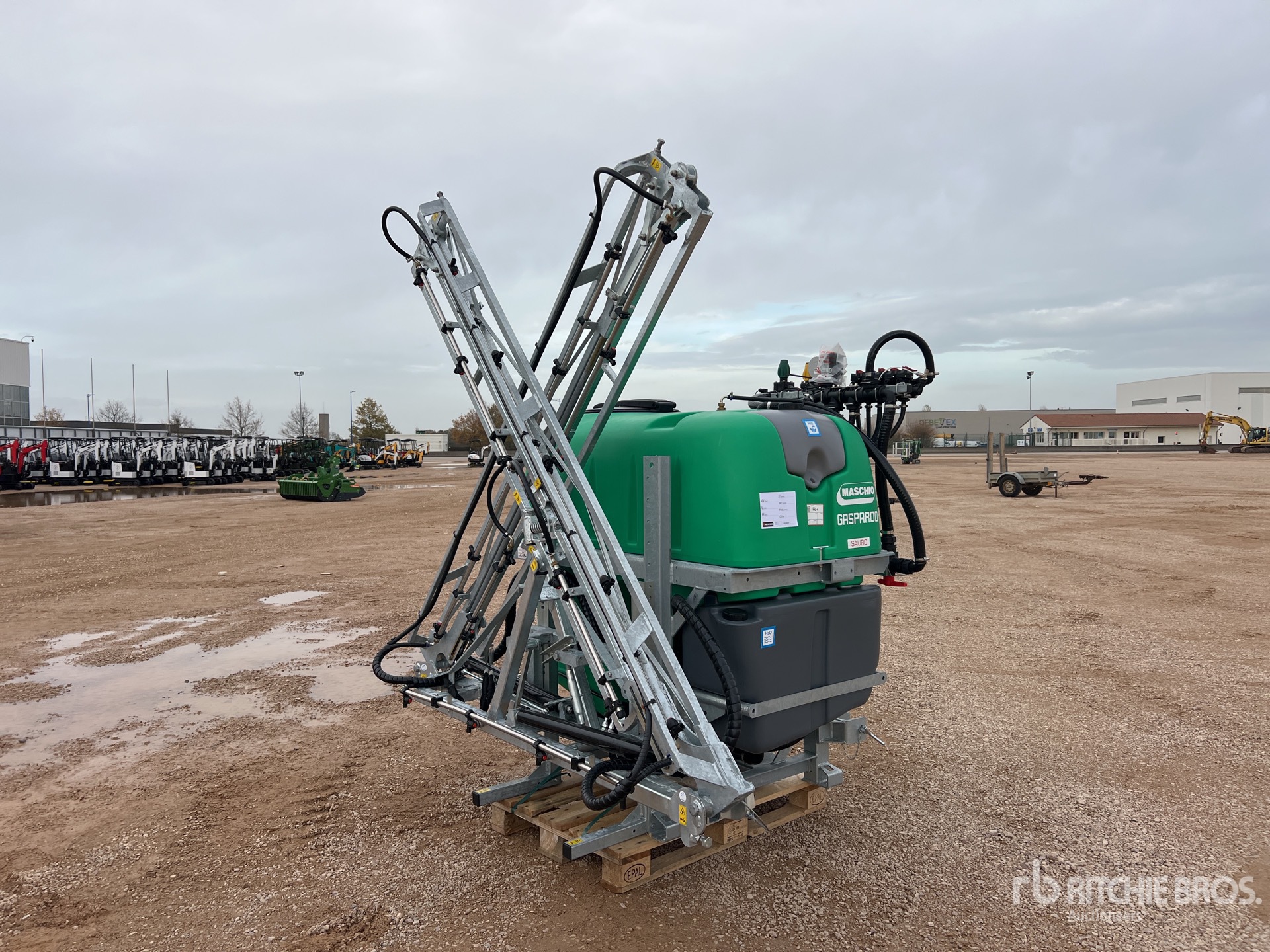 General Appearance with 