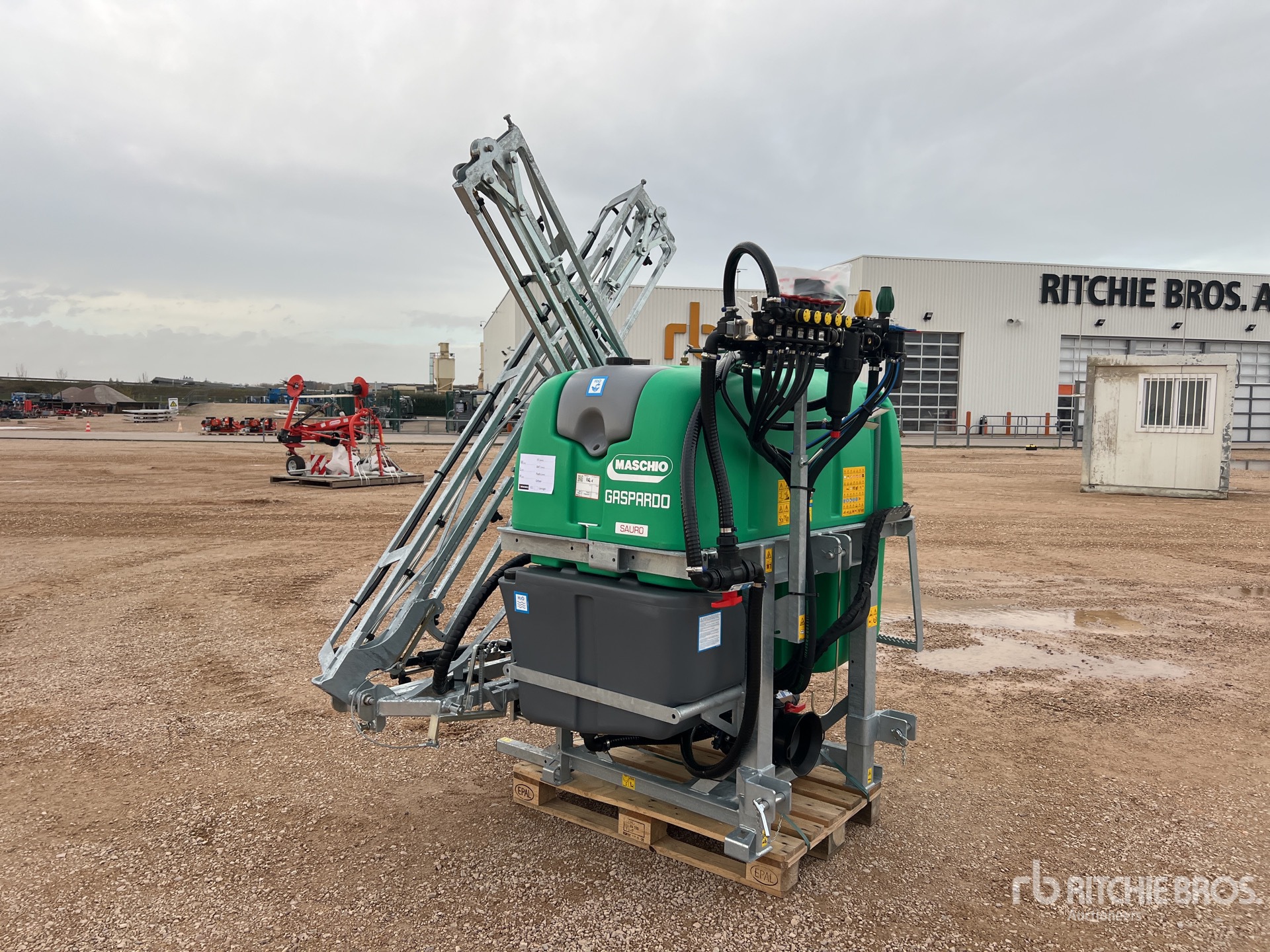 General Appearance with 