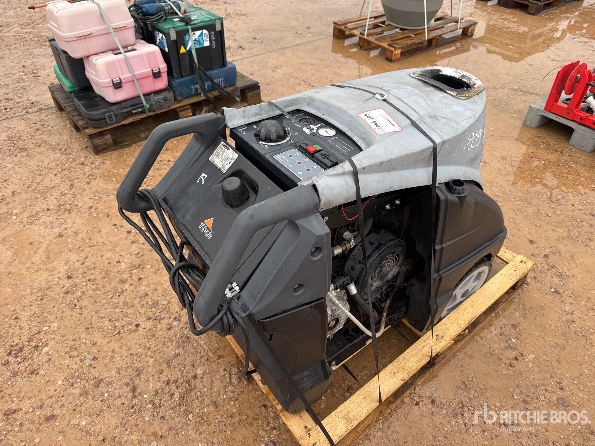 General Appearance with 