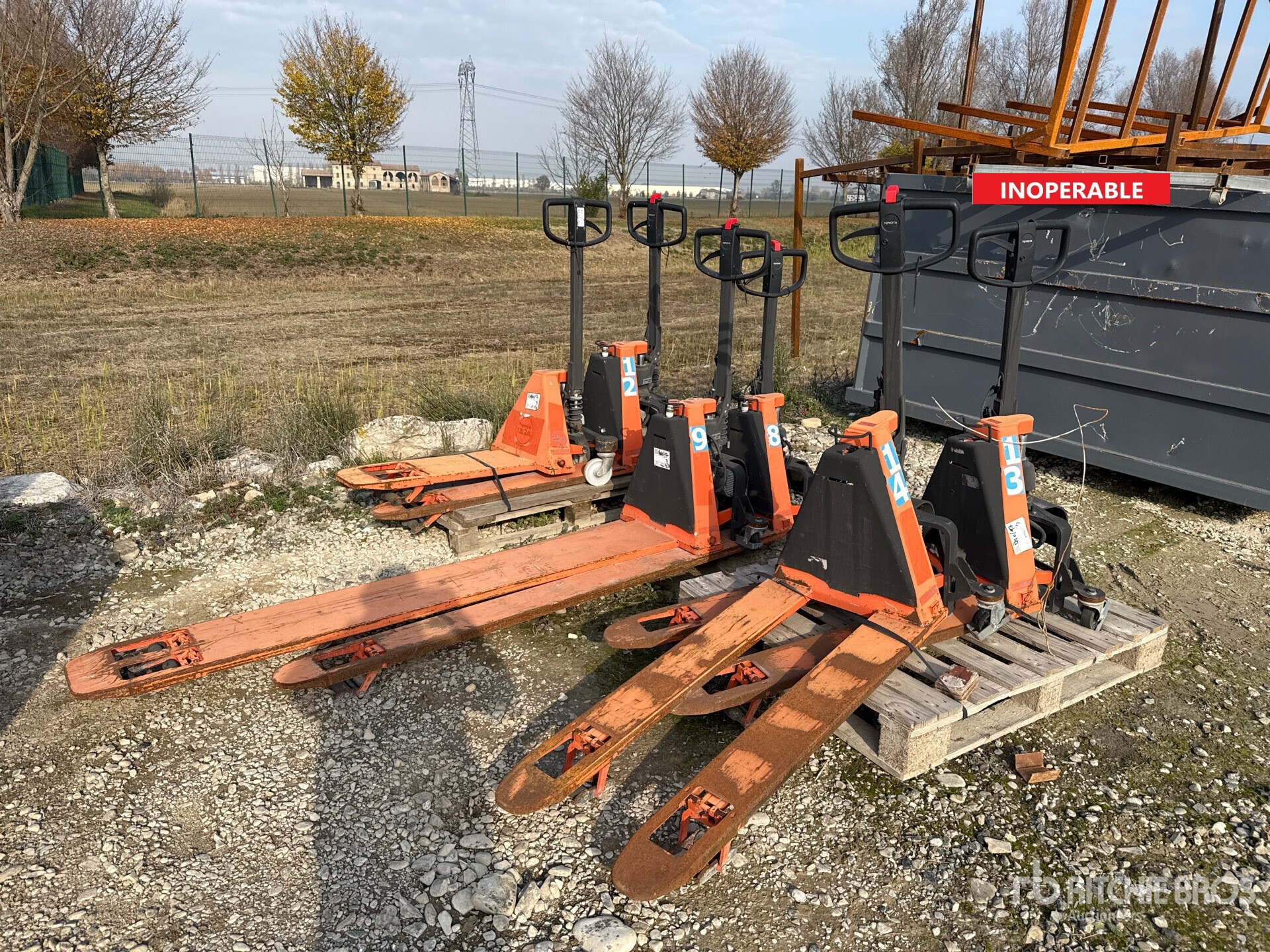 General Appearance with 