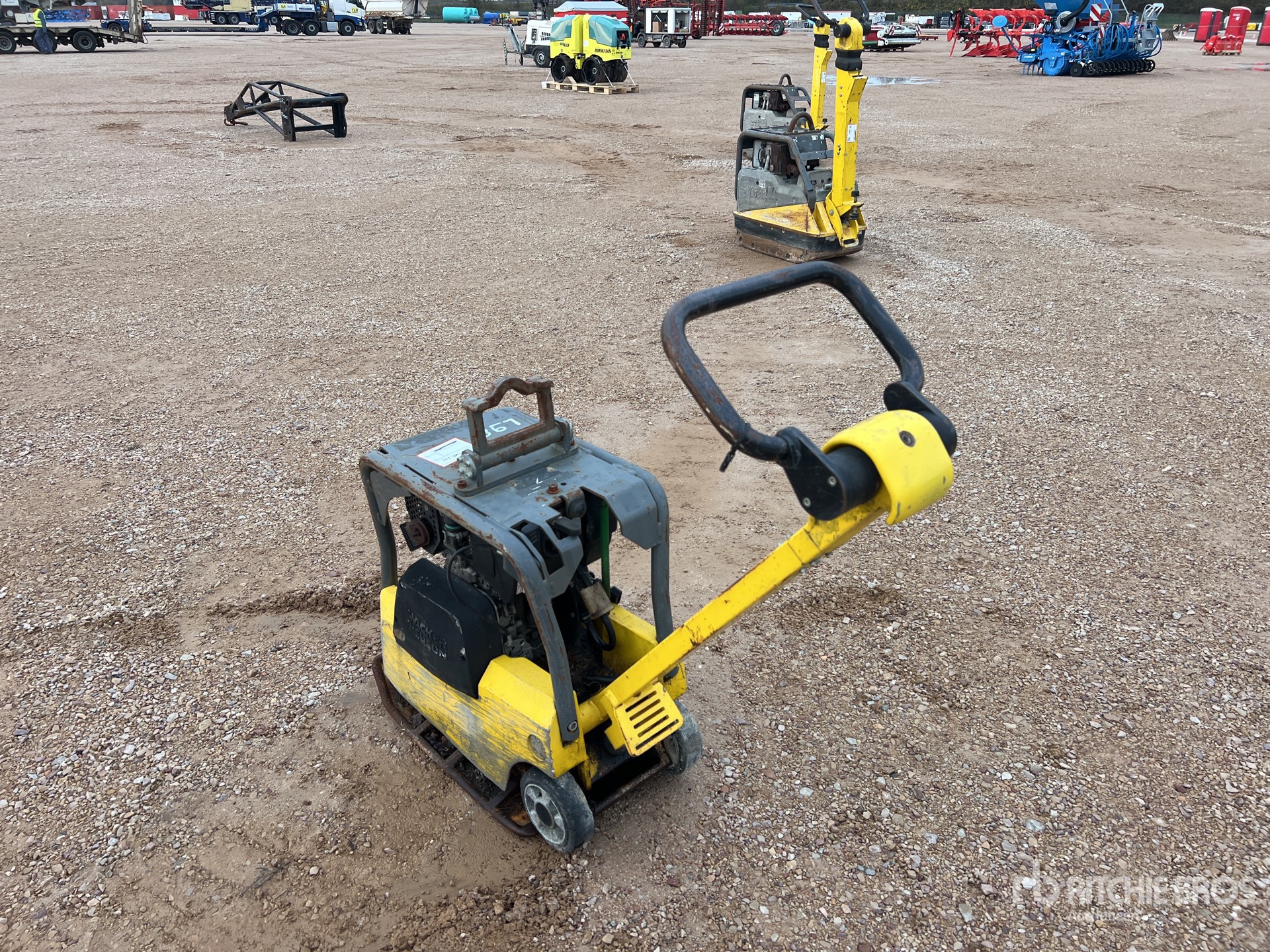 General Appearance with 