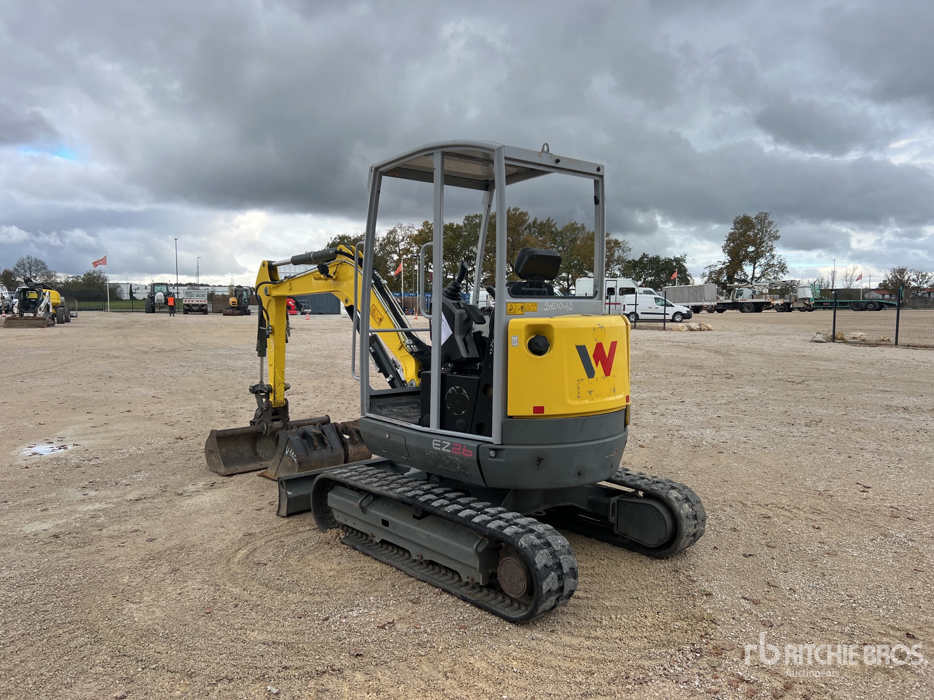 General Appearance with