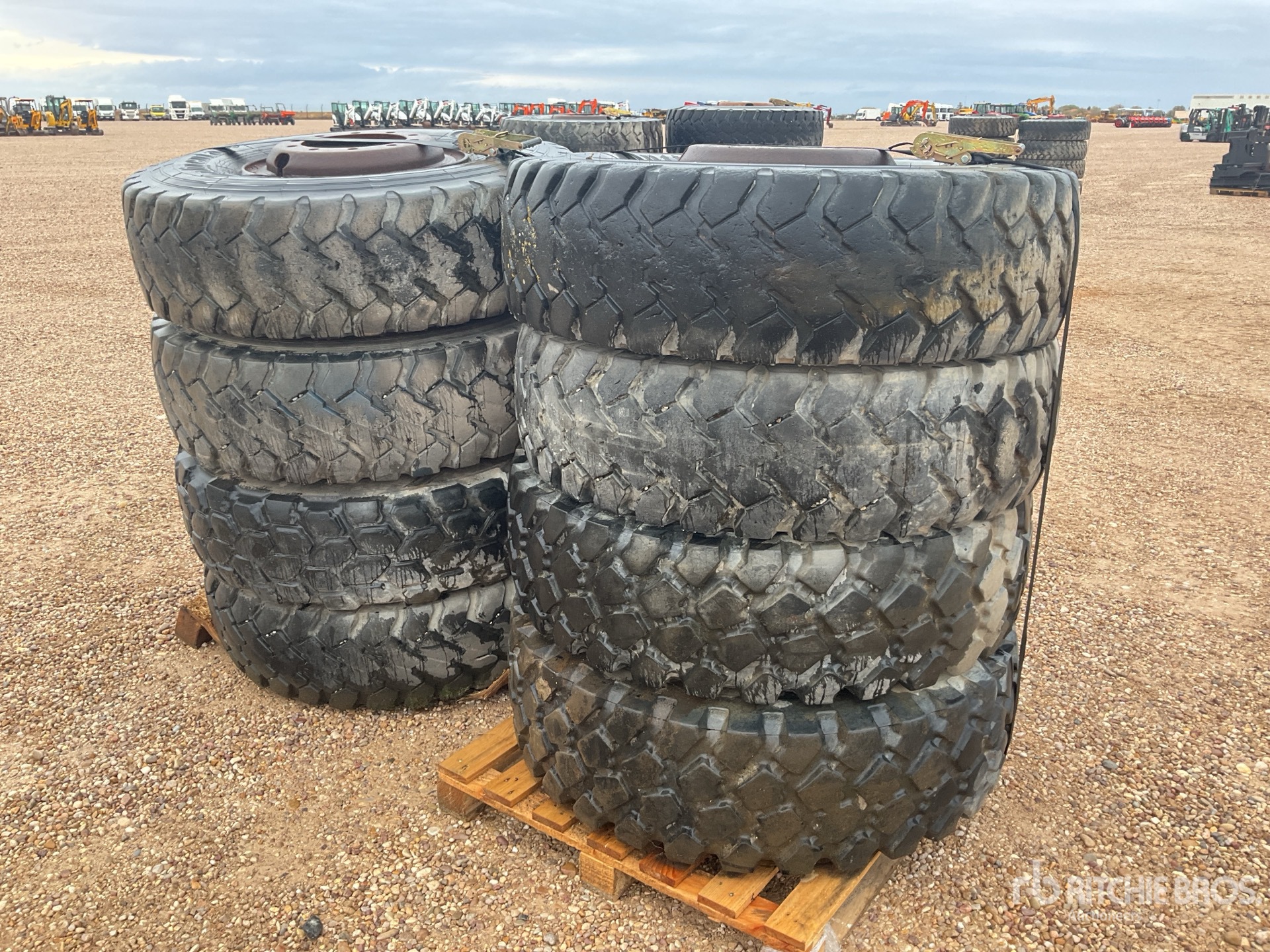 General Appearance with 