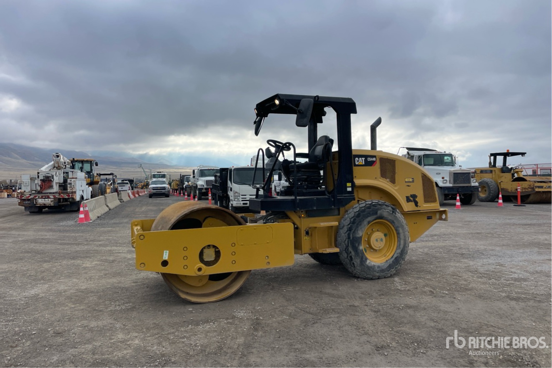 General Appearance with Spin