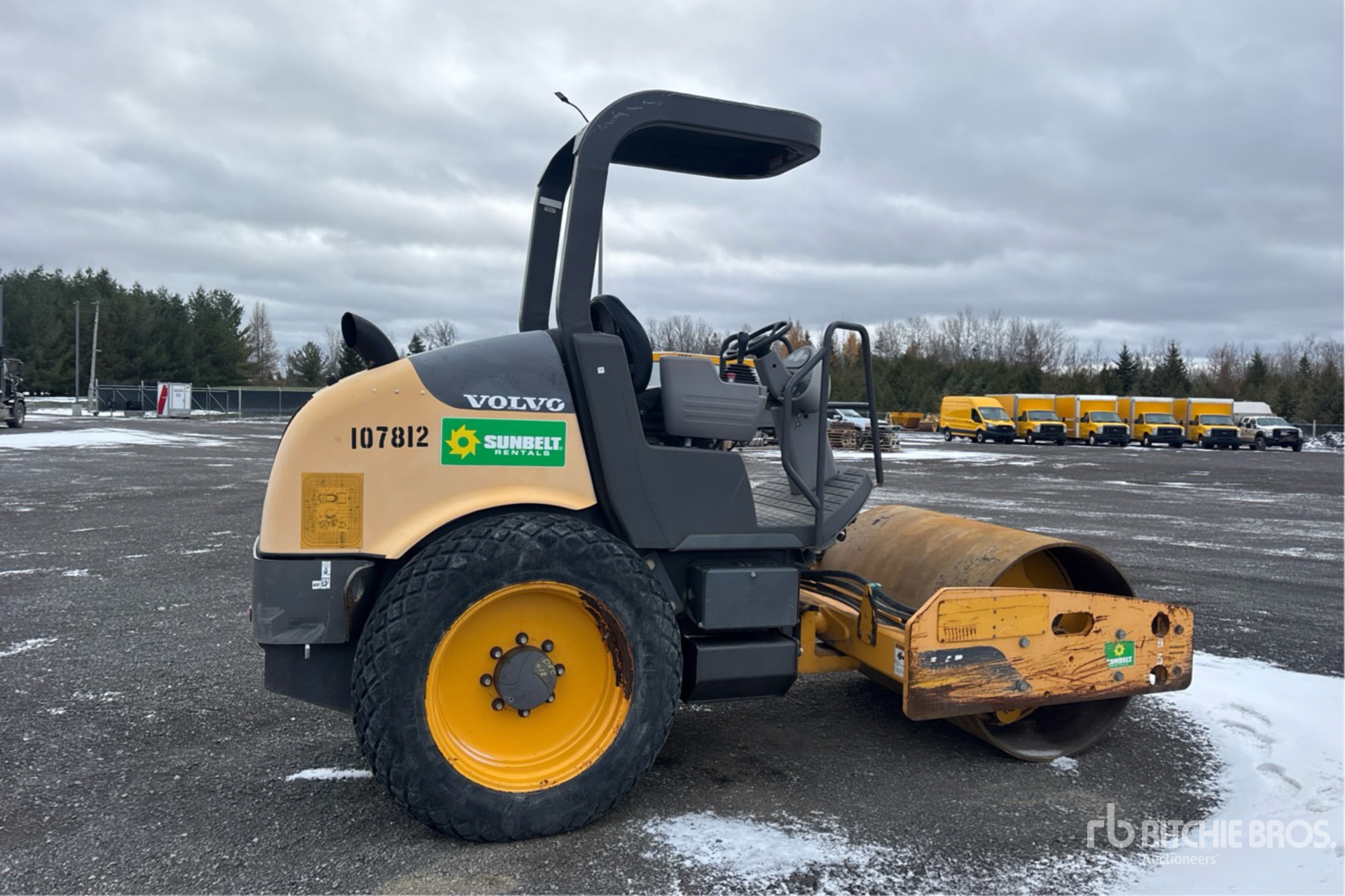 General Appearance with Zdjęcie, prawy dolny róg