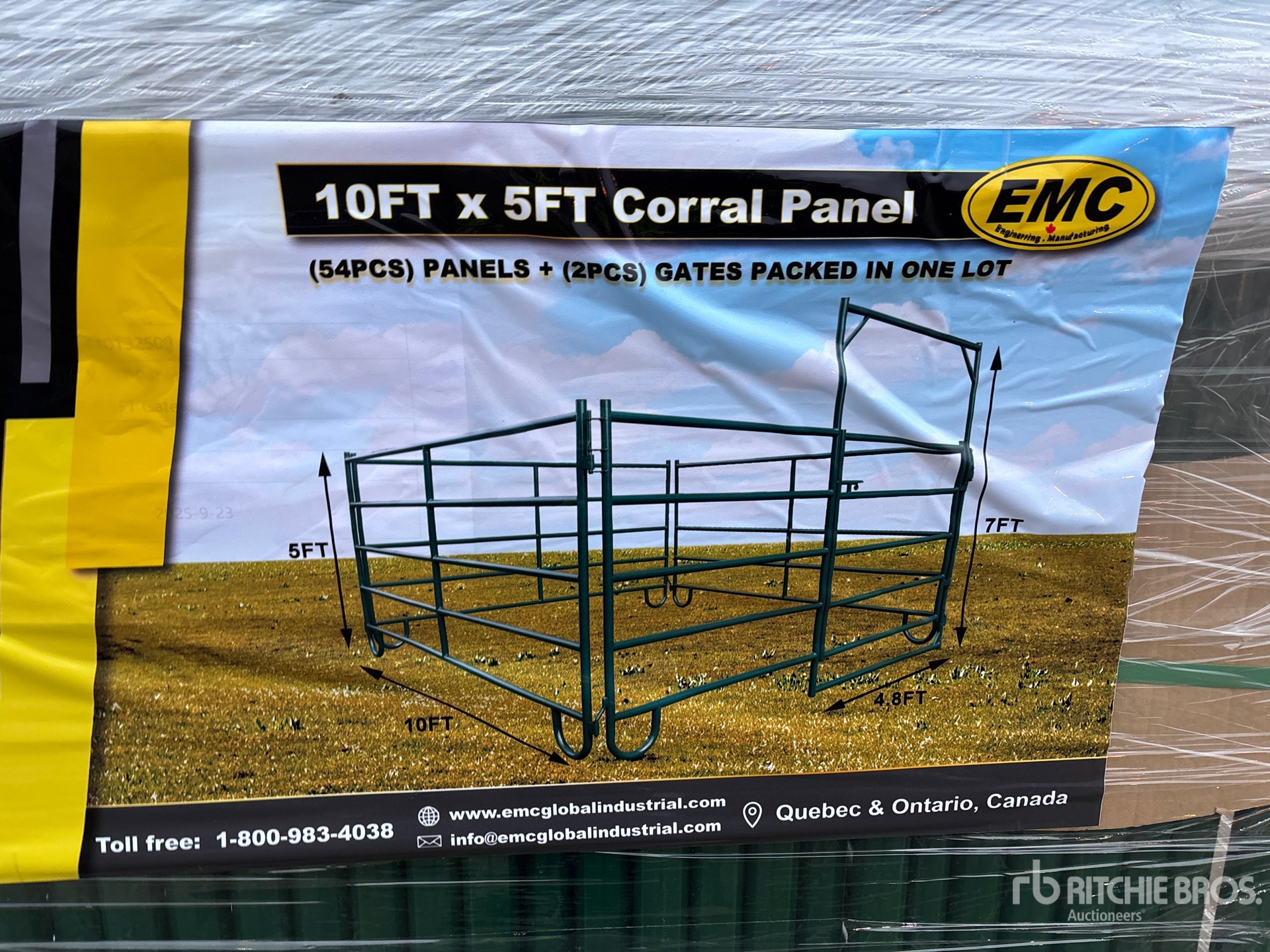 General Appearance with 