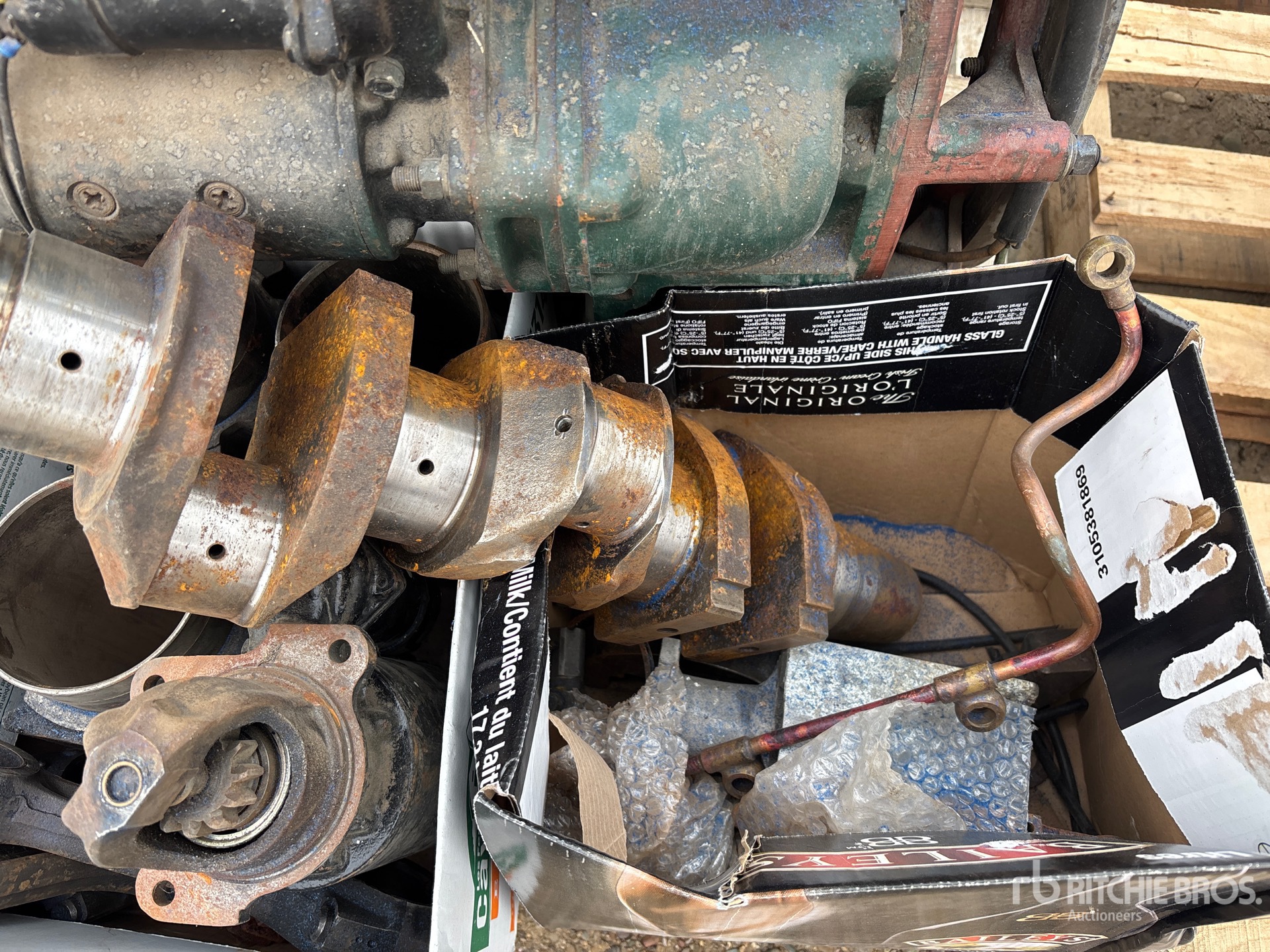 General Appearance with 