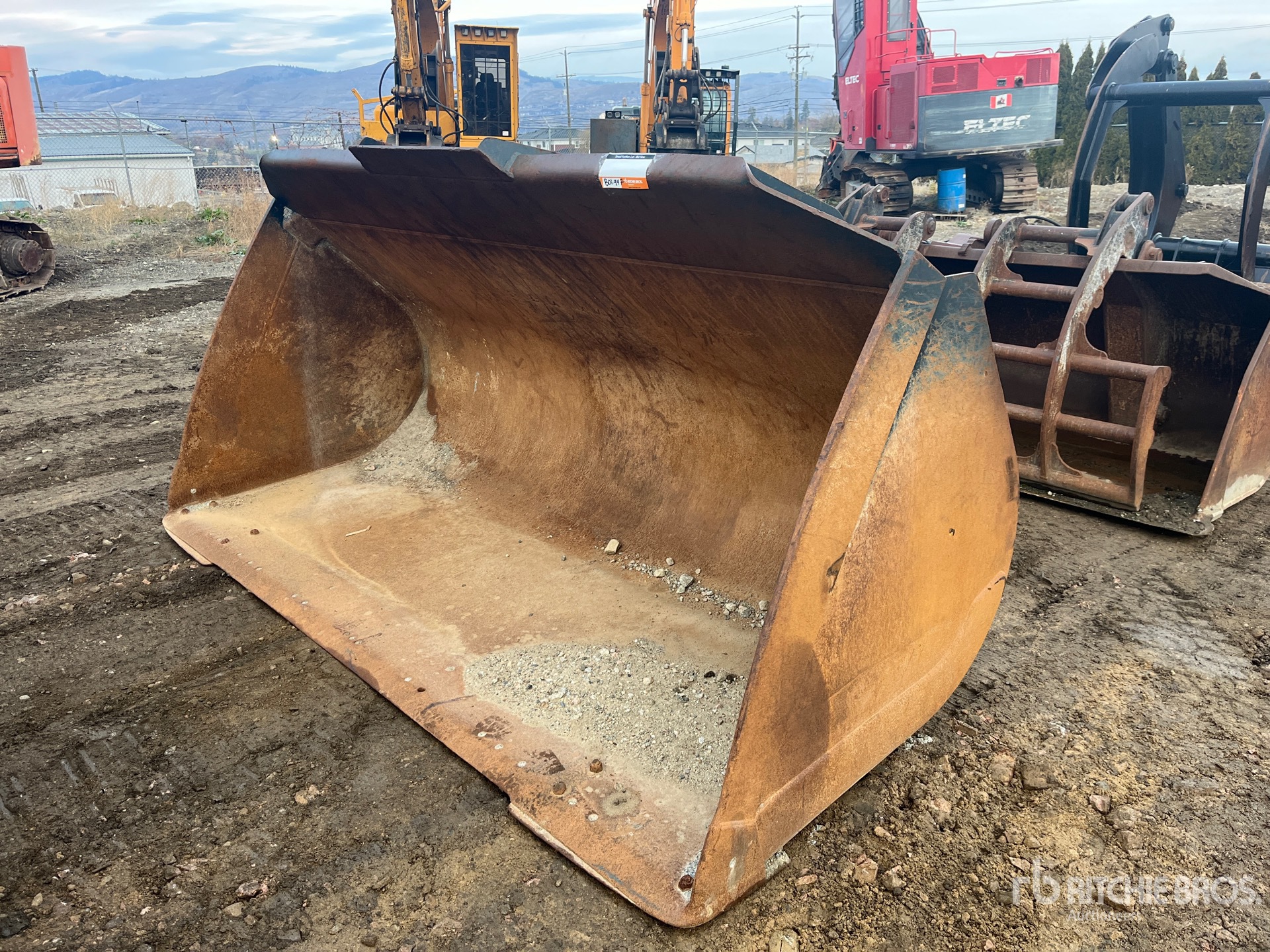 General Appearance with Bild, Ecke vorne links