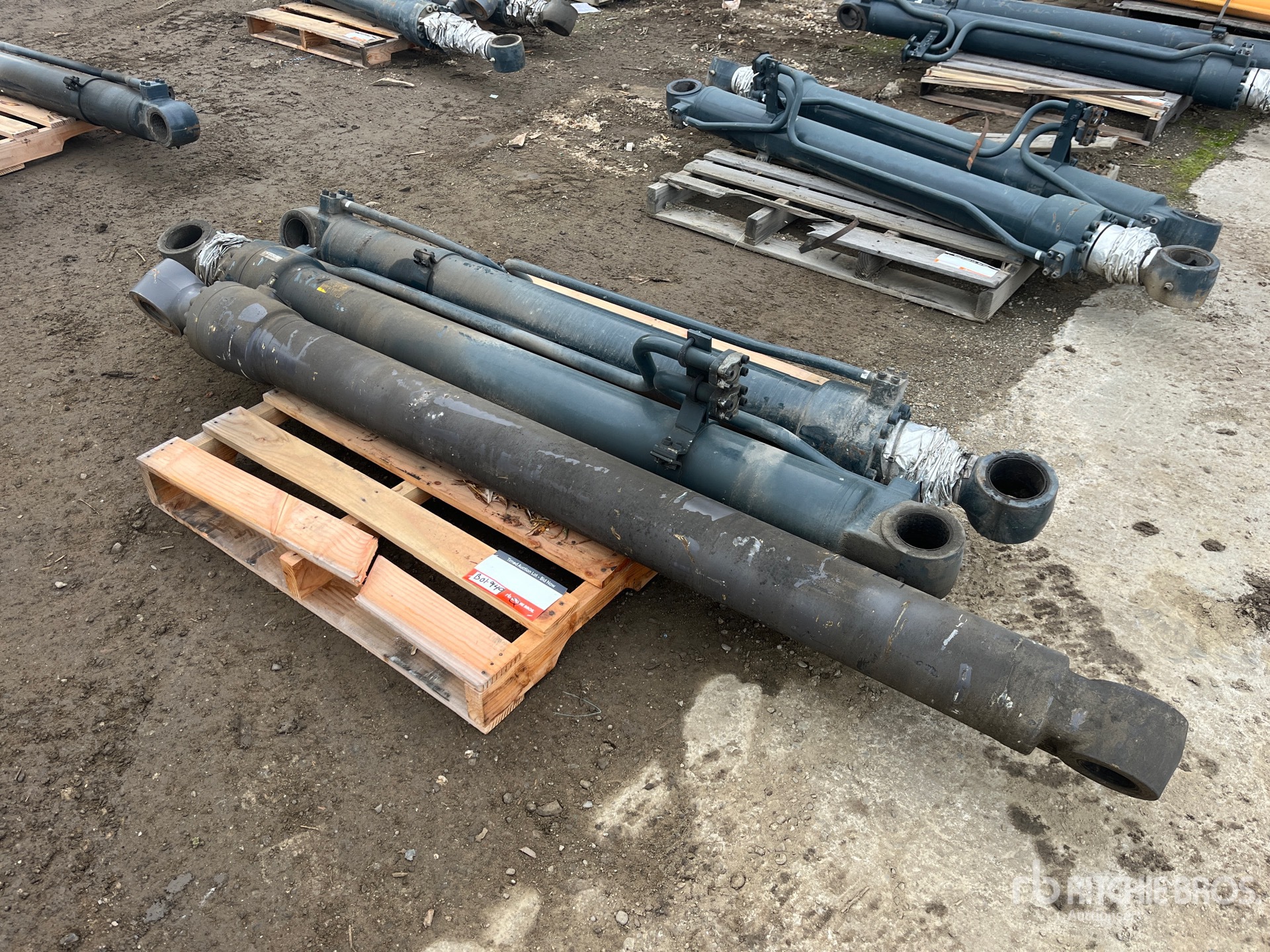 General Appearance with Bild, Ecke vorne links