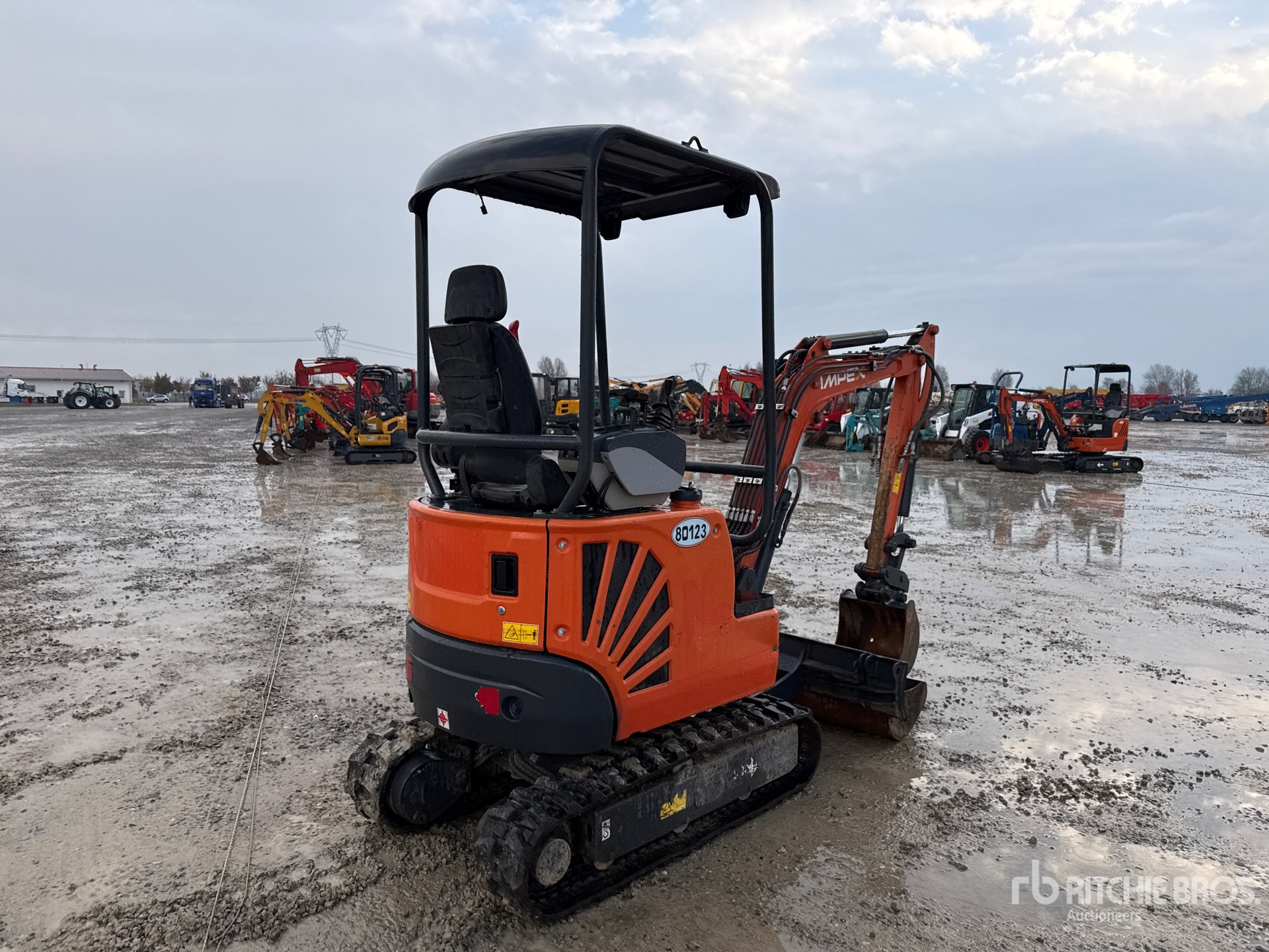 General Appearance with 