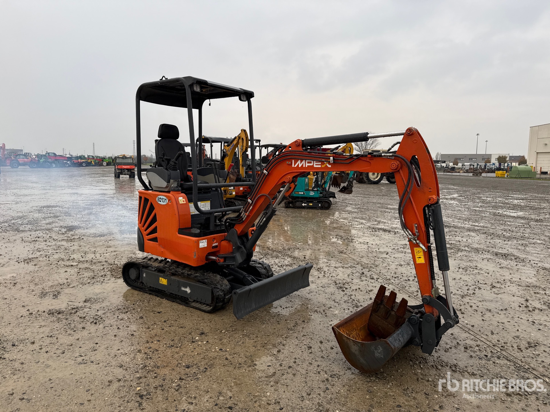 General Appearance with 