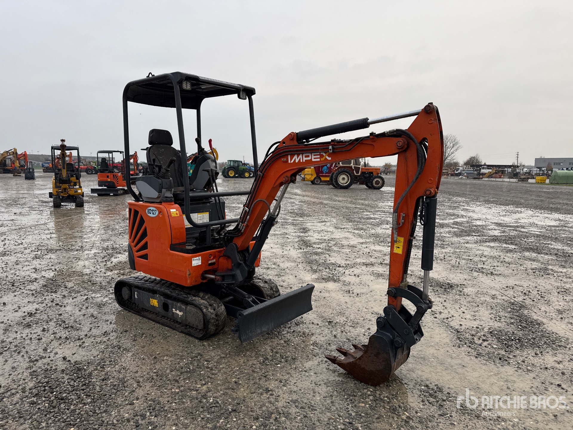 General Appearance with 