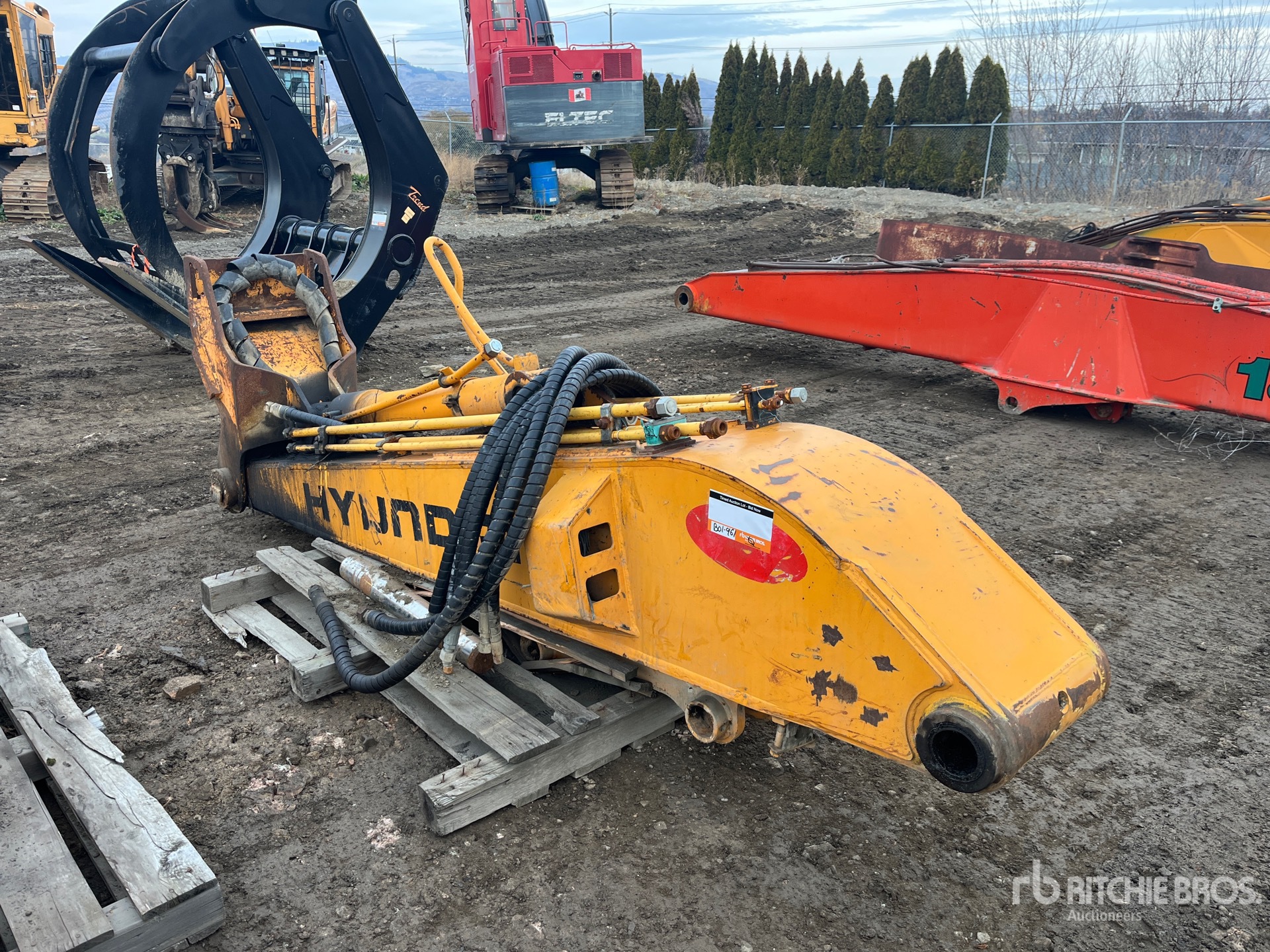 General Appearance with Bild, Ecke vorne links