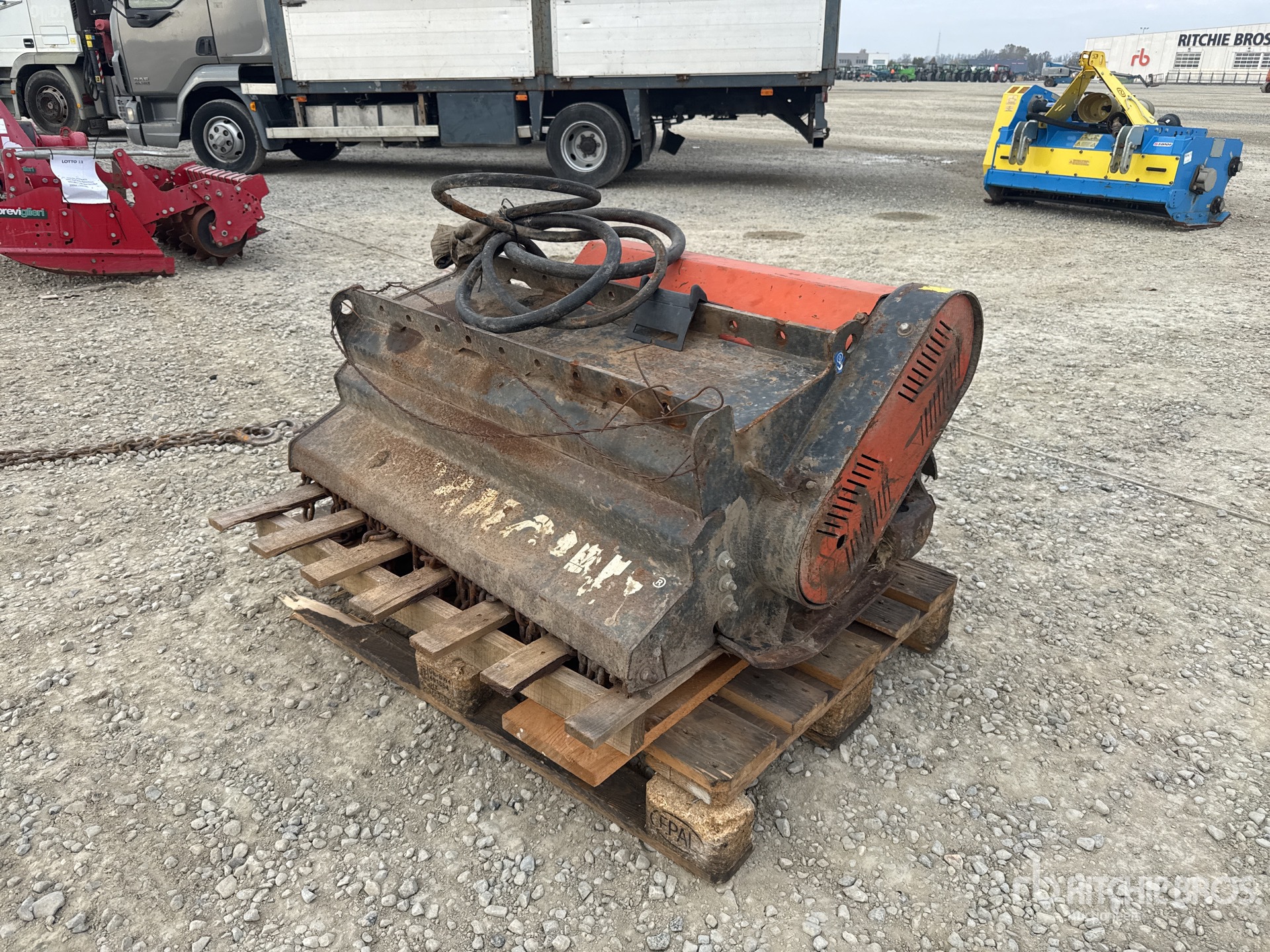 General Appearance with 