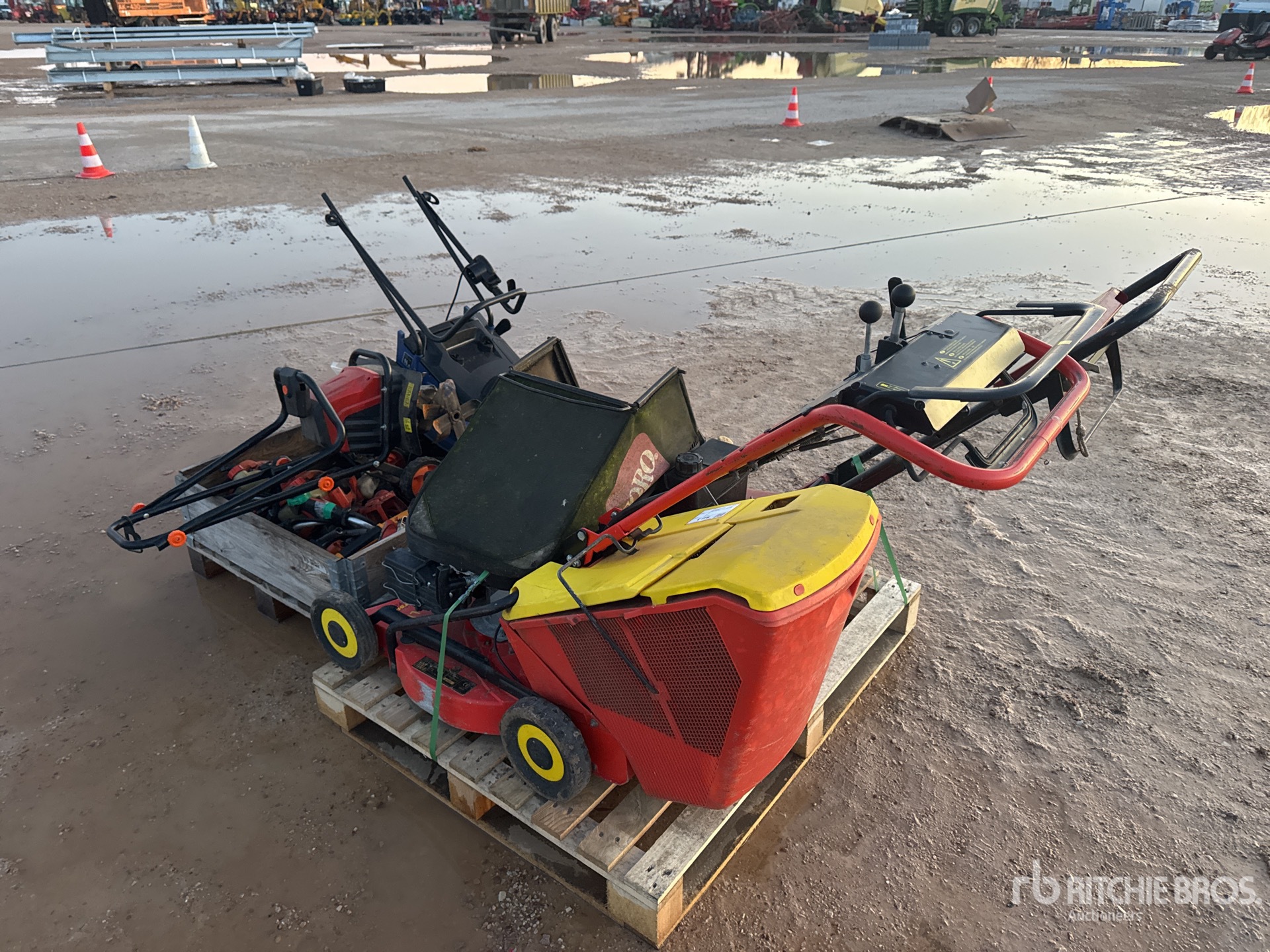 General Appearance with 