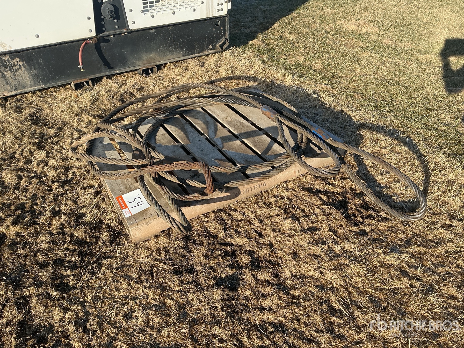 General Appearance with Bild, Ecke vorne links