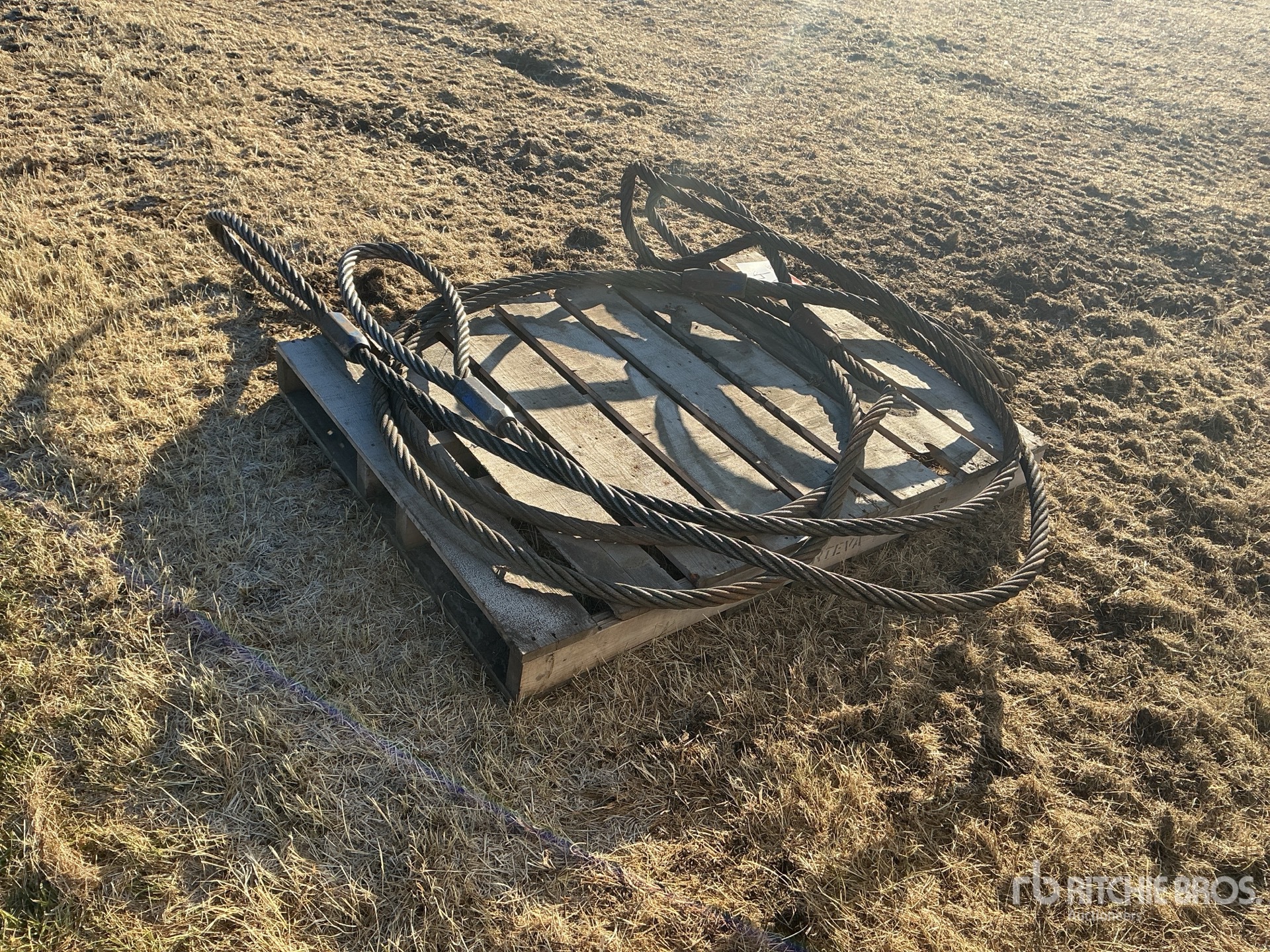 General Appearance with Bild, Ecke hinten rechts