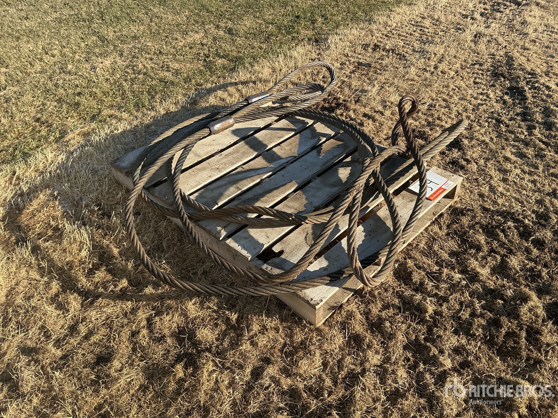 General Appearance with Bild, Ecke vorne rechts