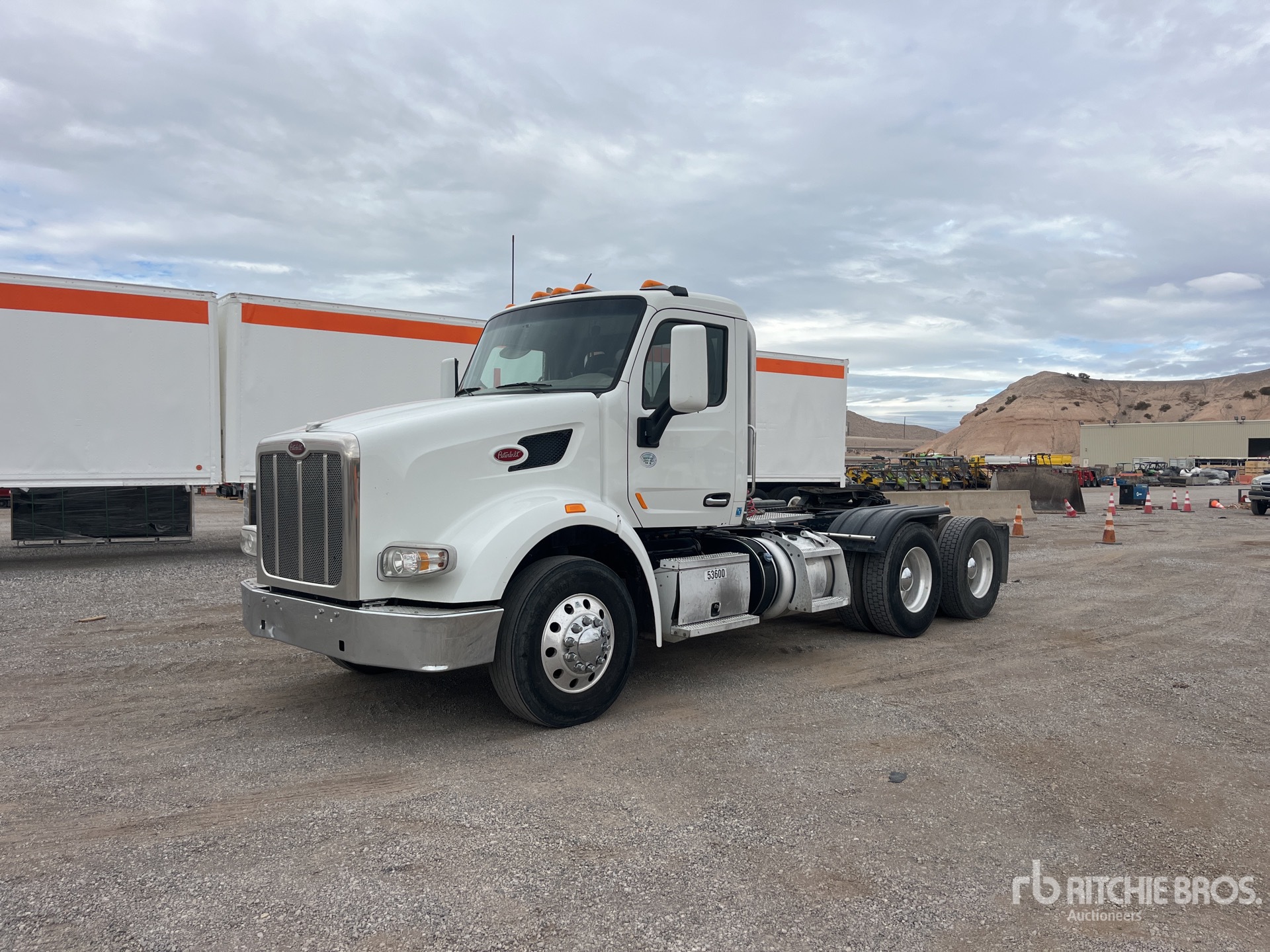 General Appearance with Spin