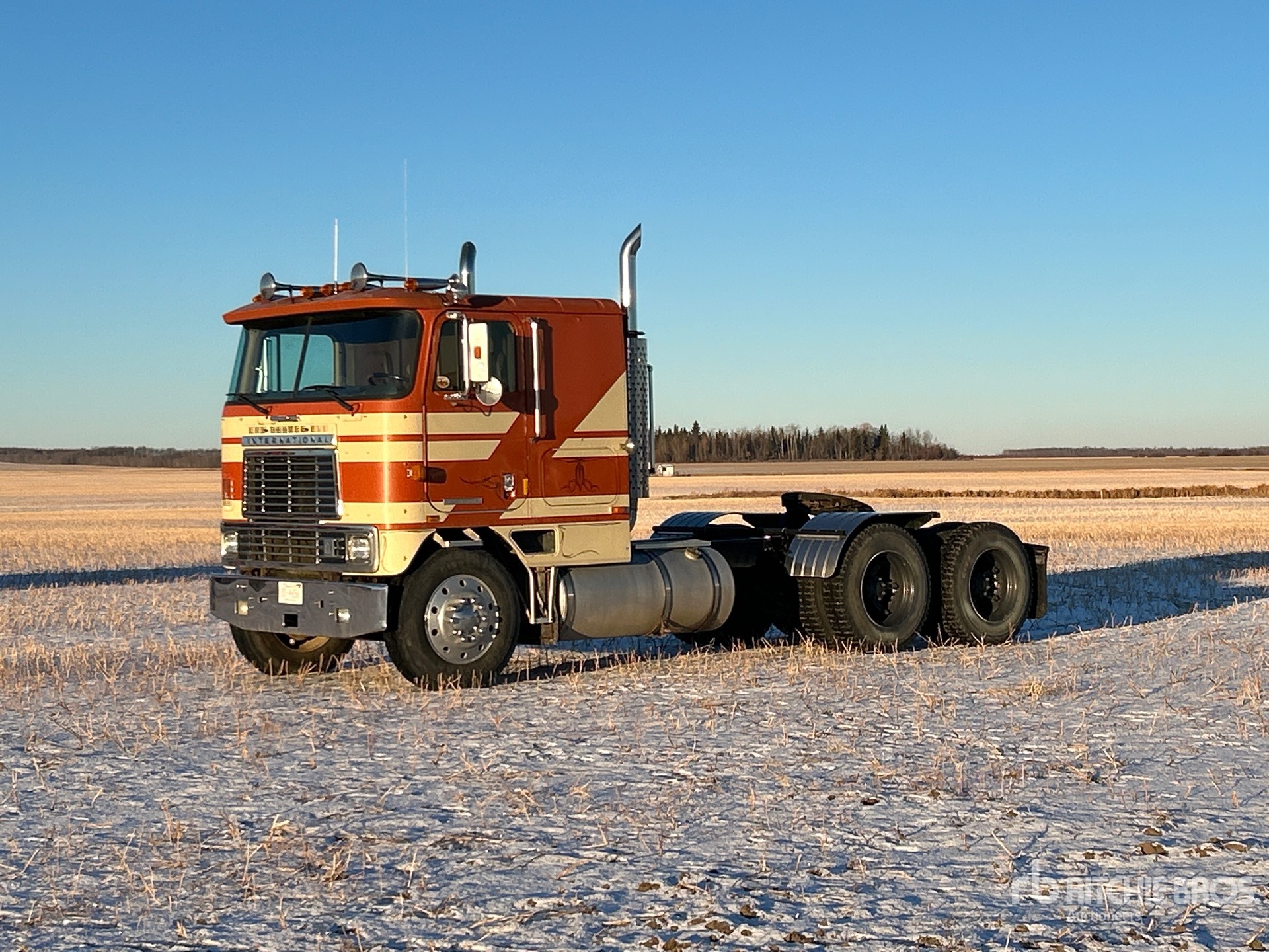 General Appearance with Spin