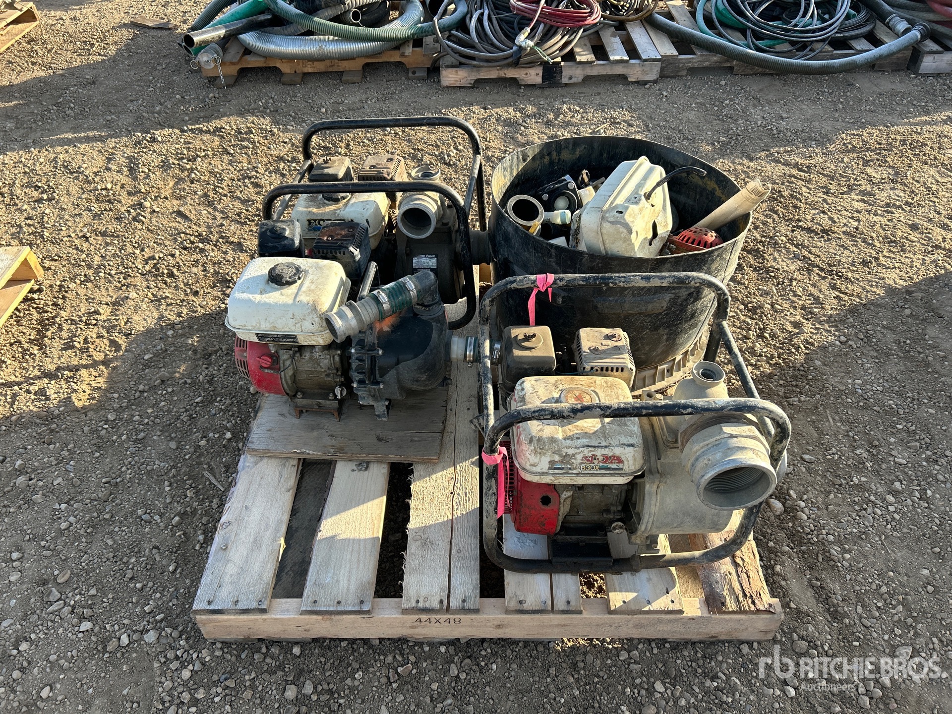 General Appearance with 