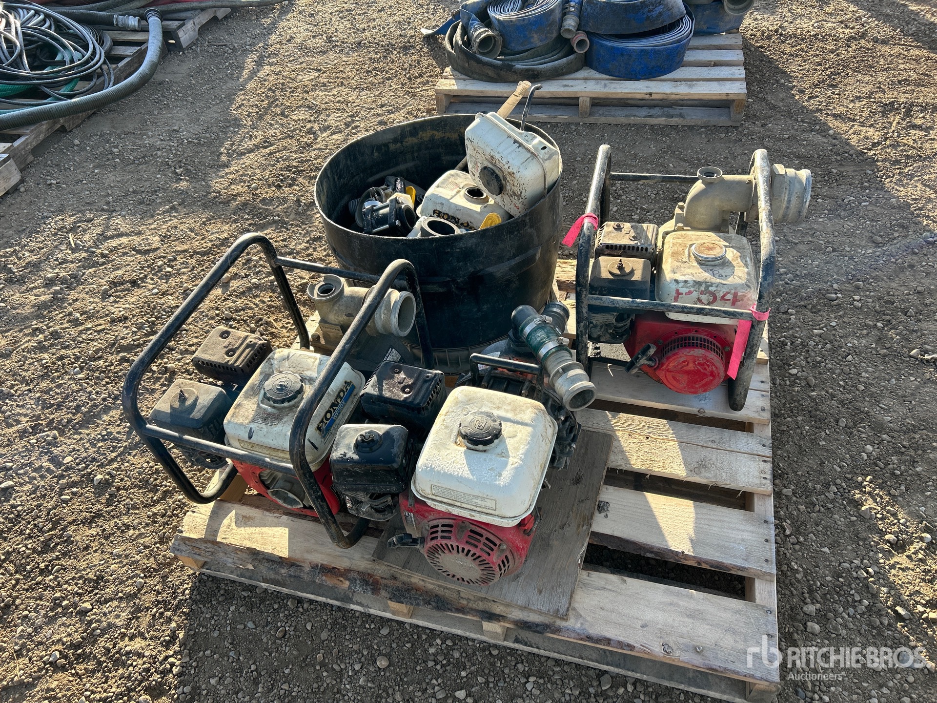 General Appearance with 