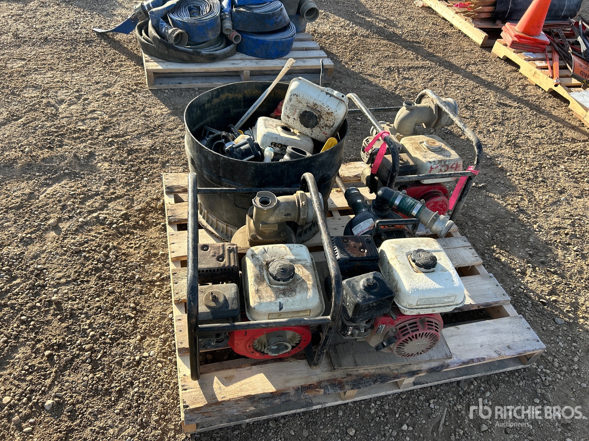 General Appearance with 