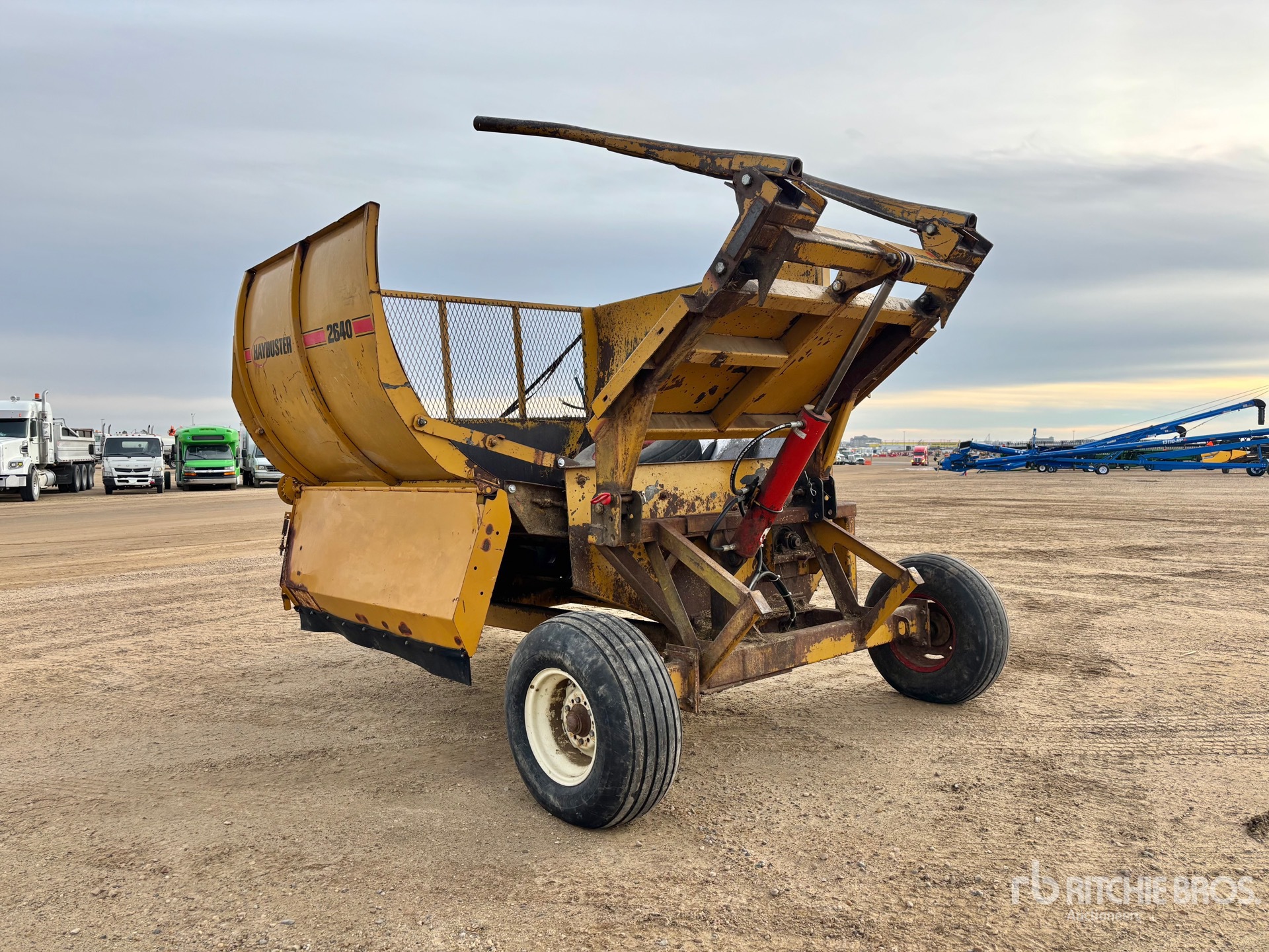 General Appearance with Zdjęcie, lewy dolny róg