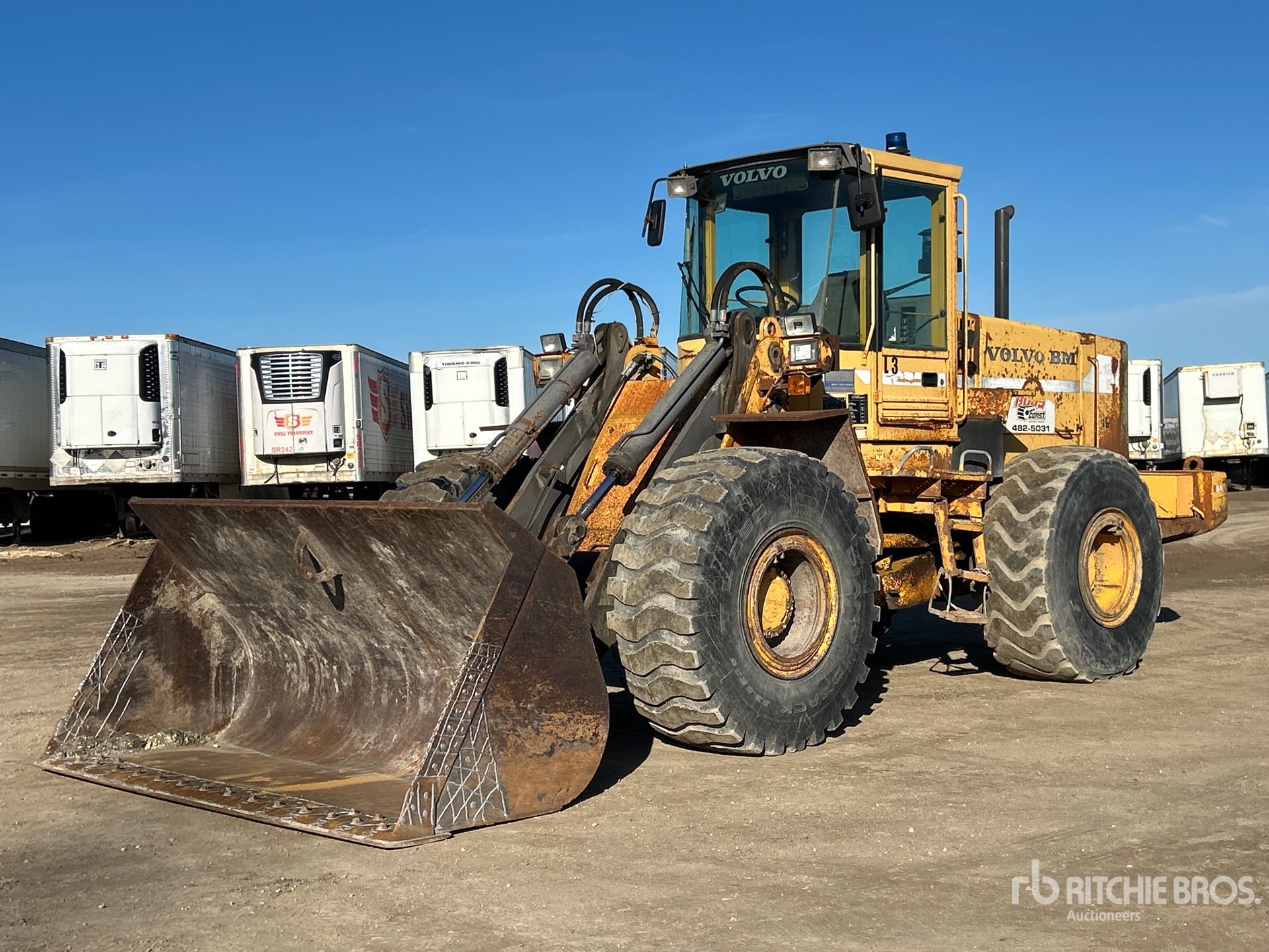 General Appearance with Spin