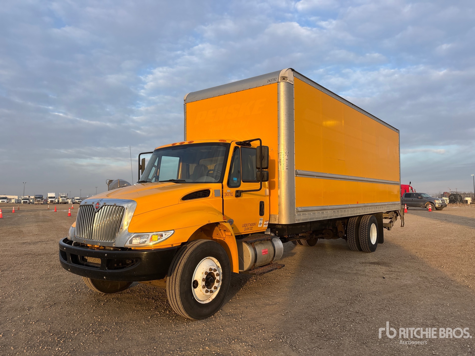 General Appearance with Spin