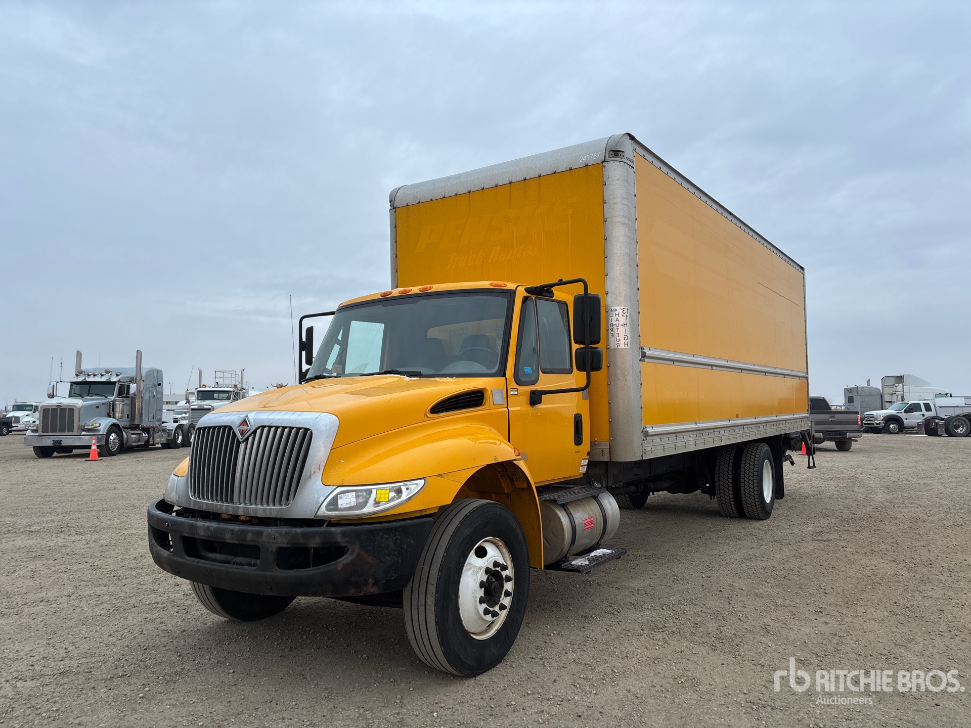 General Appearance with Spin