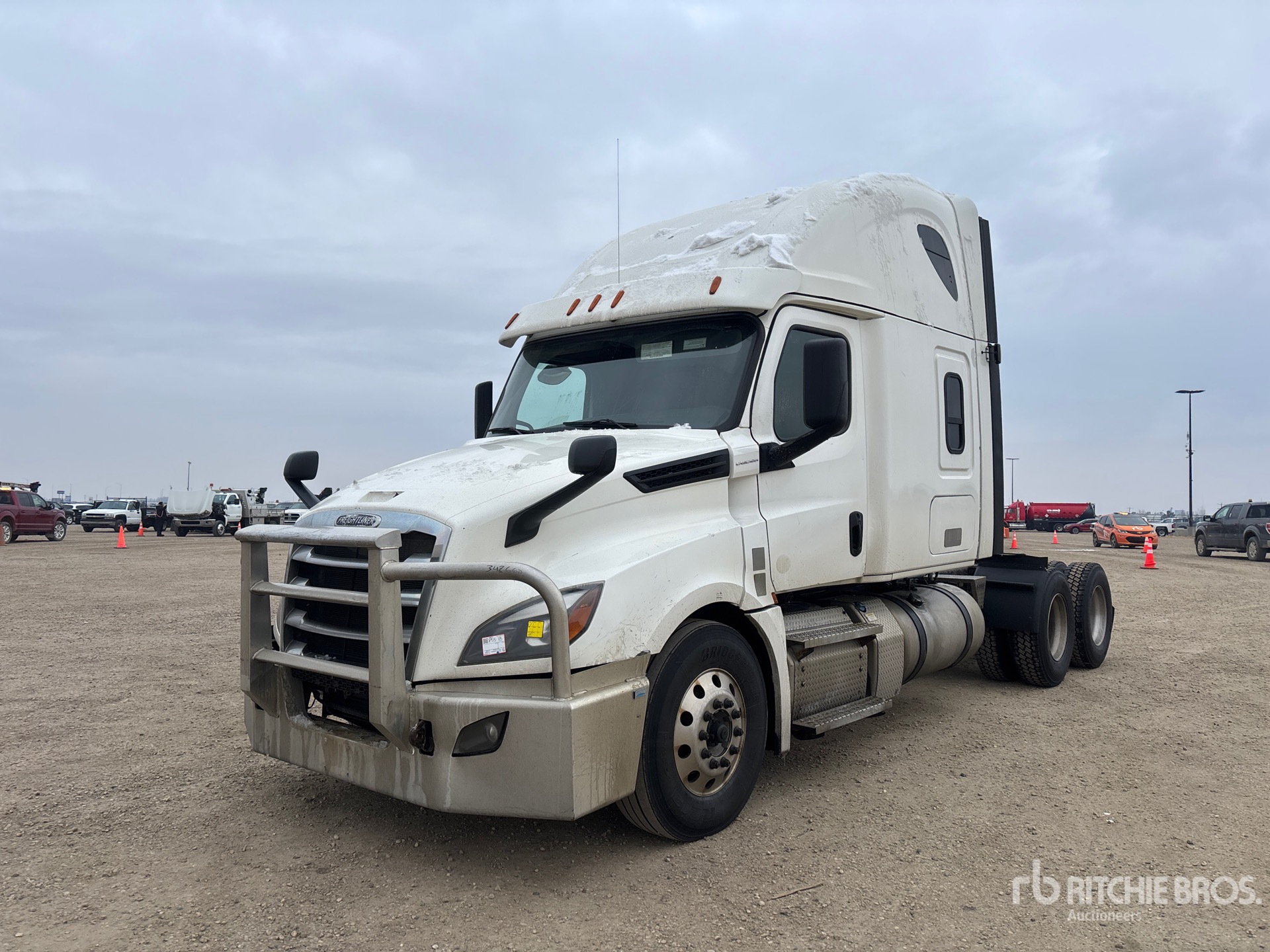 General Appearance with Spin